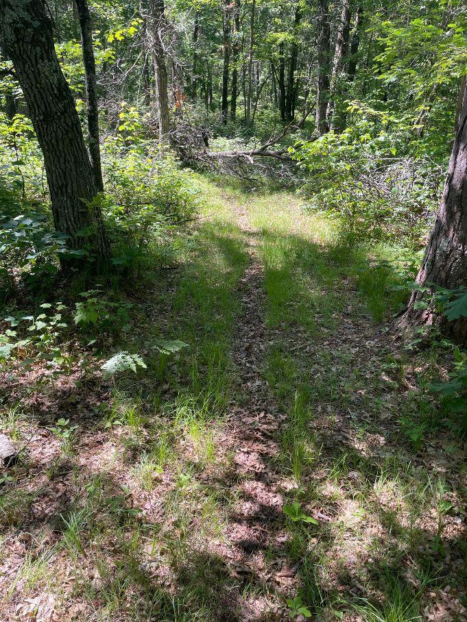 12997 E Mail Road Property Photo 58