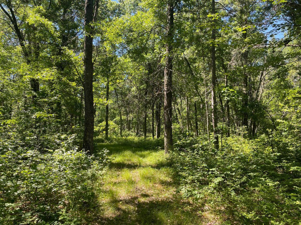 12997 E Mail Road Property Photo 59