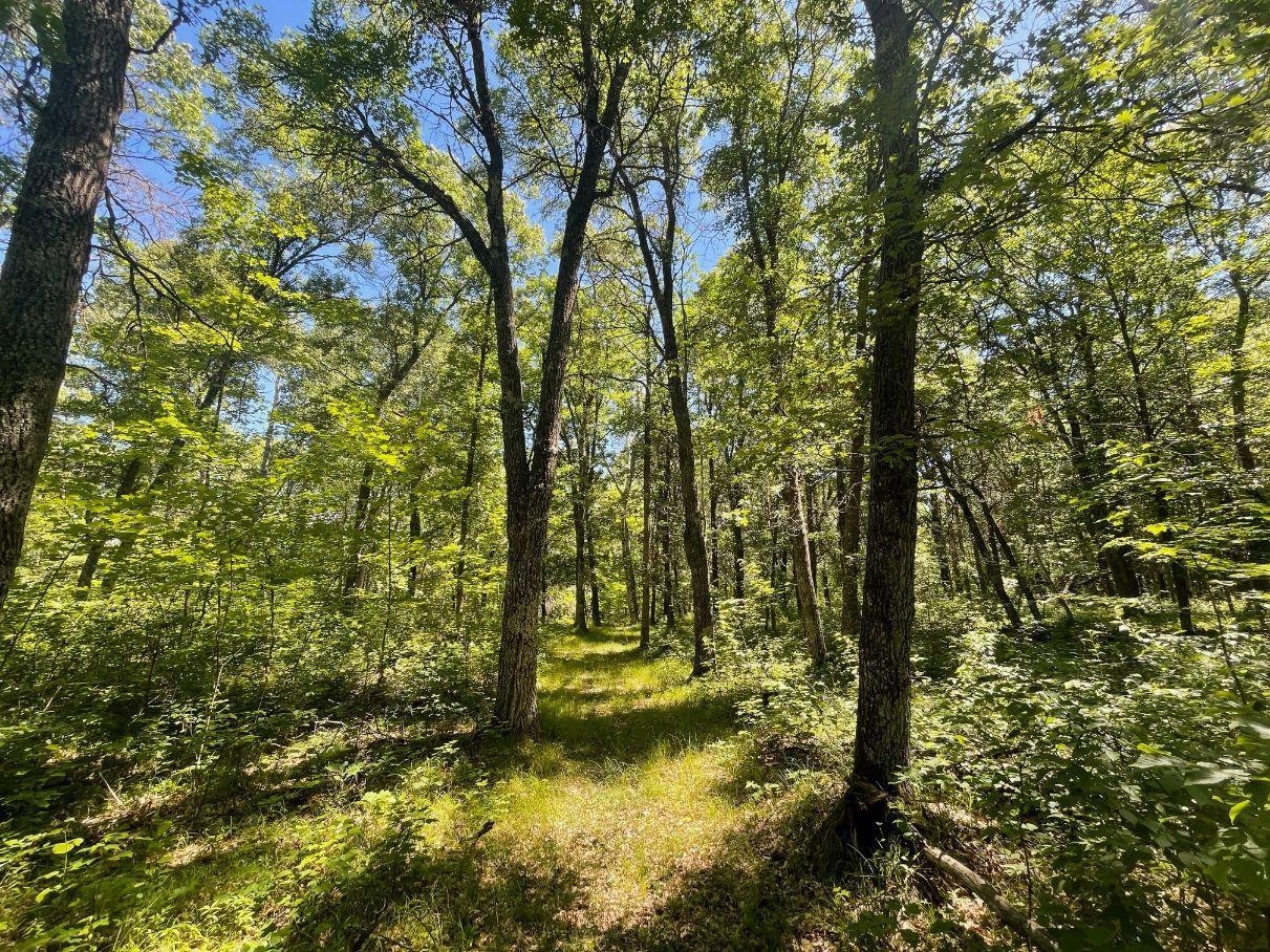 12997 E Mail Road Property Photo 62