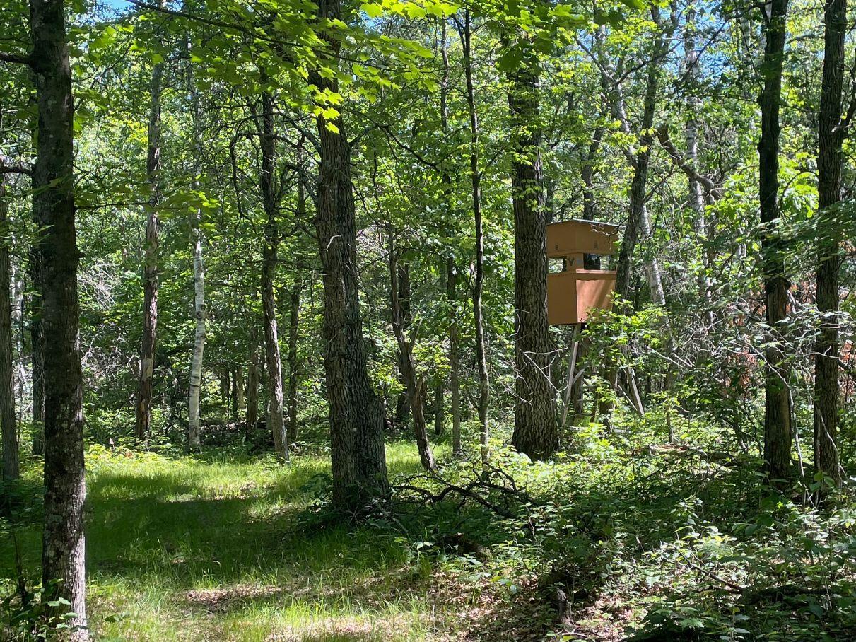 12997 E Mail Road Property Photo 63