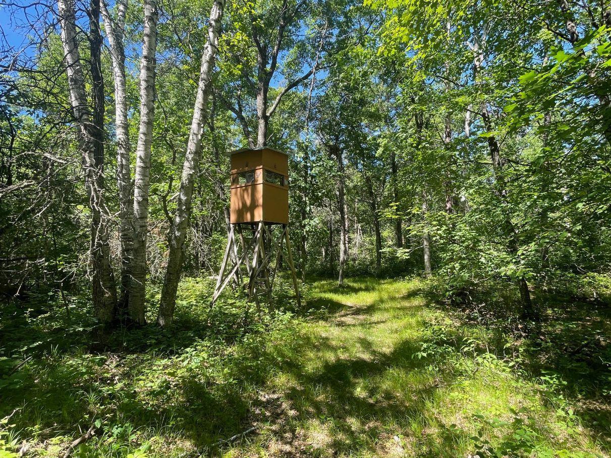12997 E Mail Road Property Photo 65