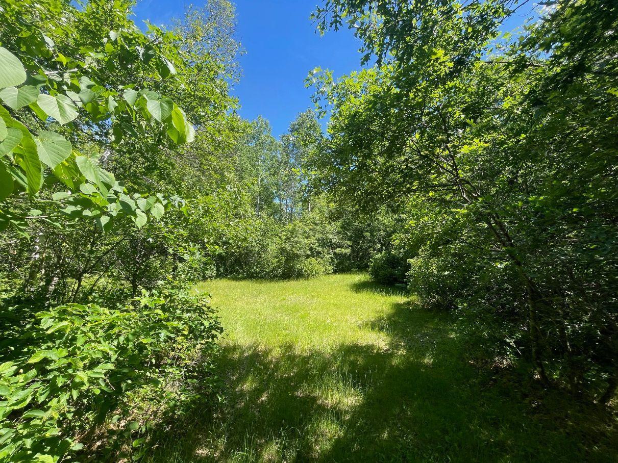 12997 E Mail Road Property Photo 66