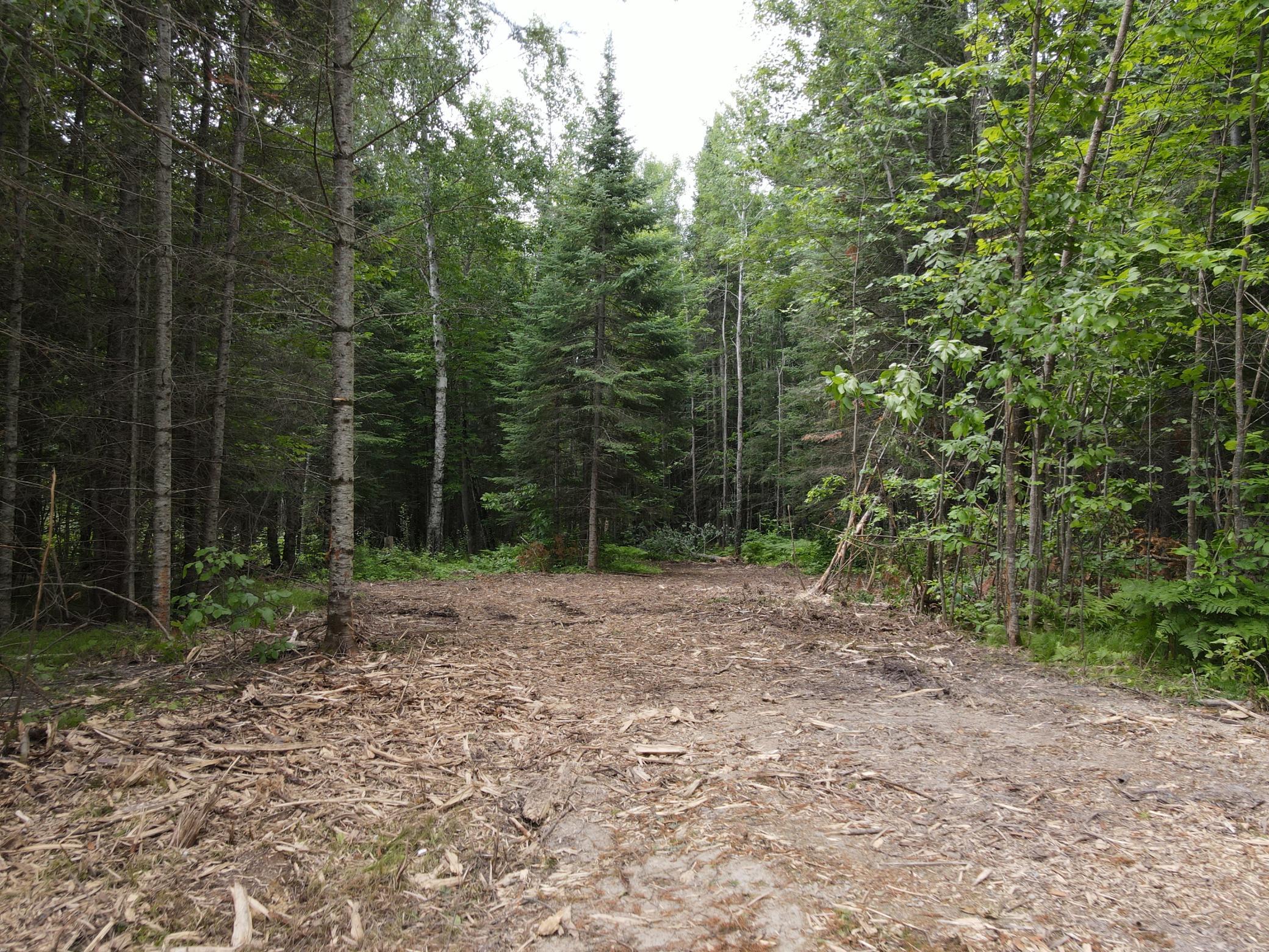Parcel B County Road 35 Property Photo 6