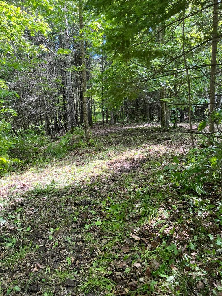 Parcel B County Road 35 Property Photo 9