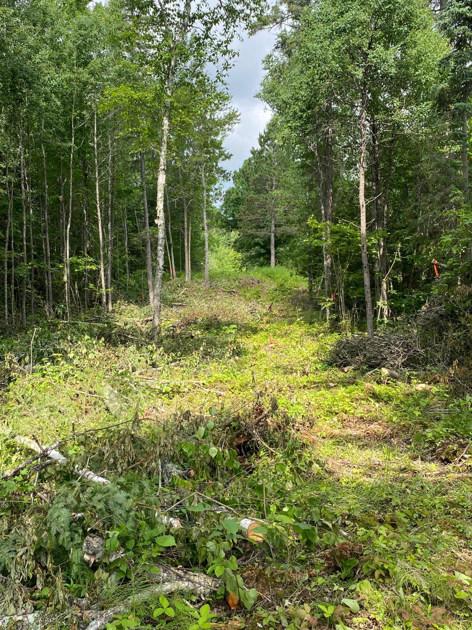 Parcel B County Road 35 Property Photo 30