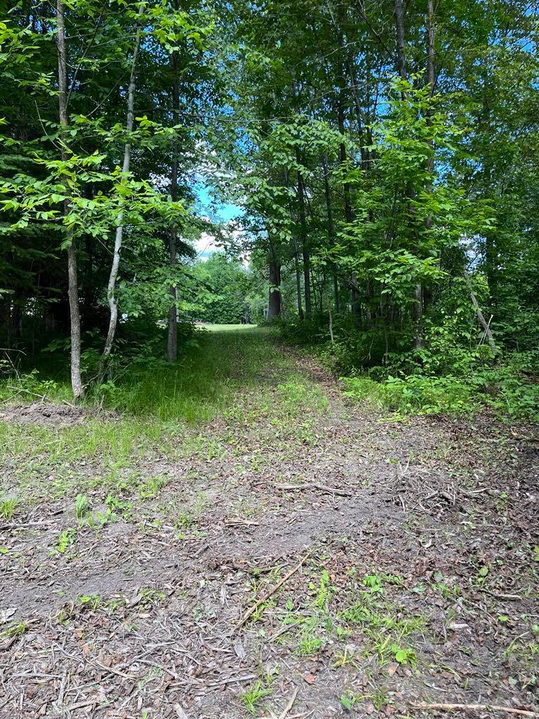 Parcel B County Road 35 Property Photo 34
