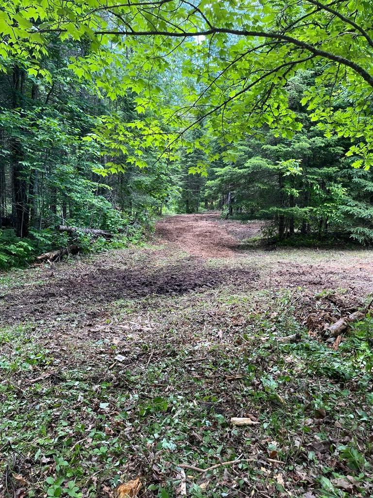 Parcel B County Road 35 Property Photo 36