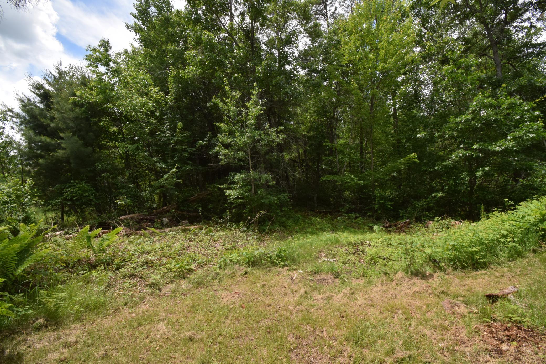 4411 Lunsman Drive Property Photo 35