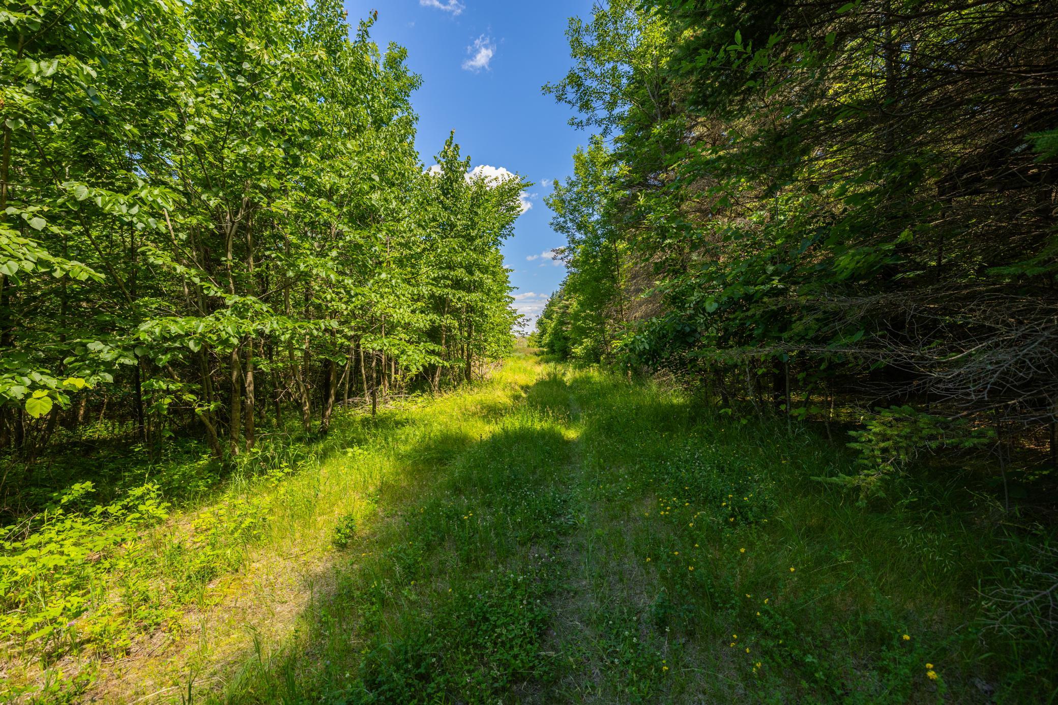 Tbd Base Line Road Property Photo 2