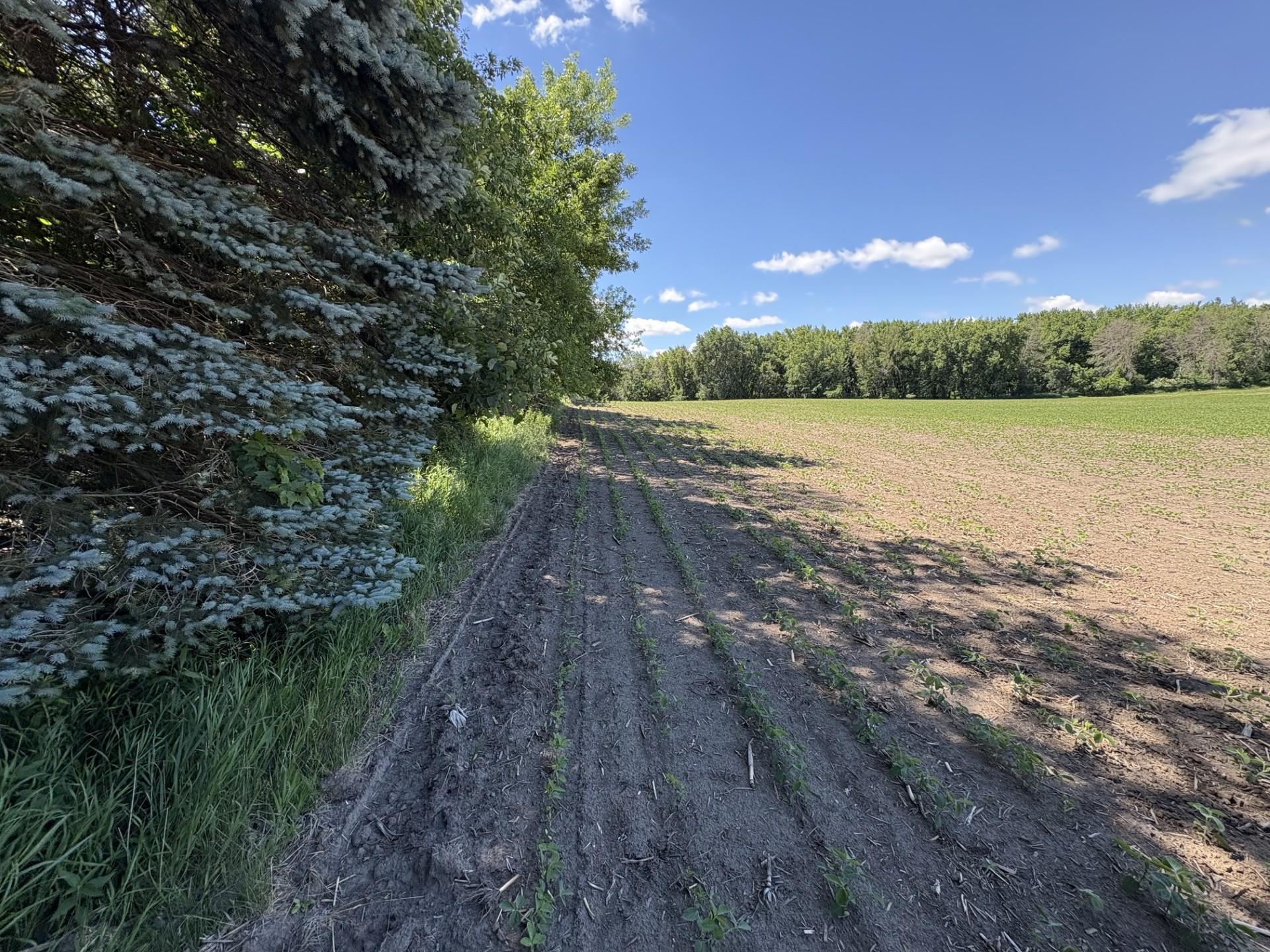 Tbd Base Line Road Property Photo 4