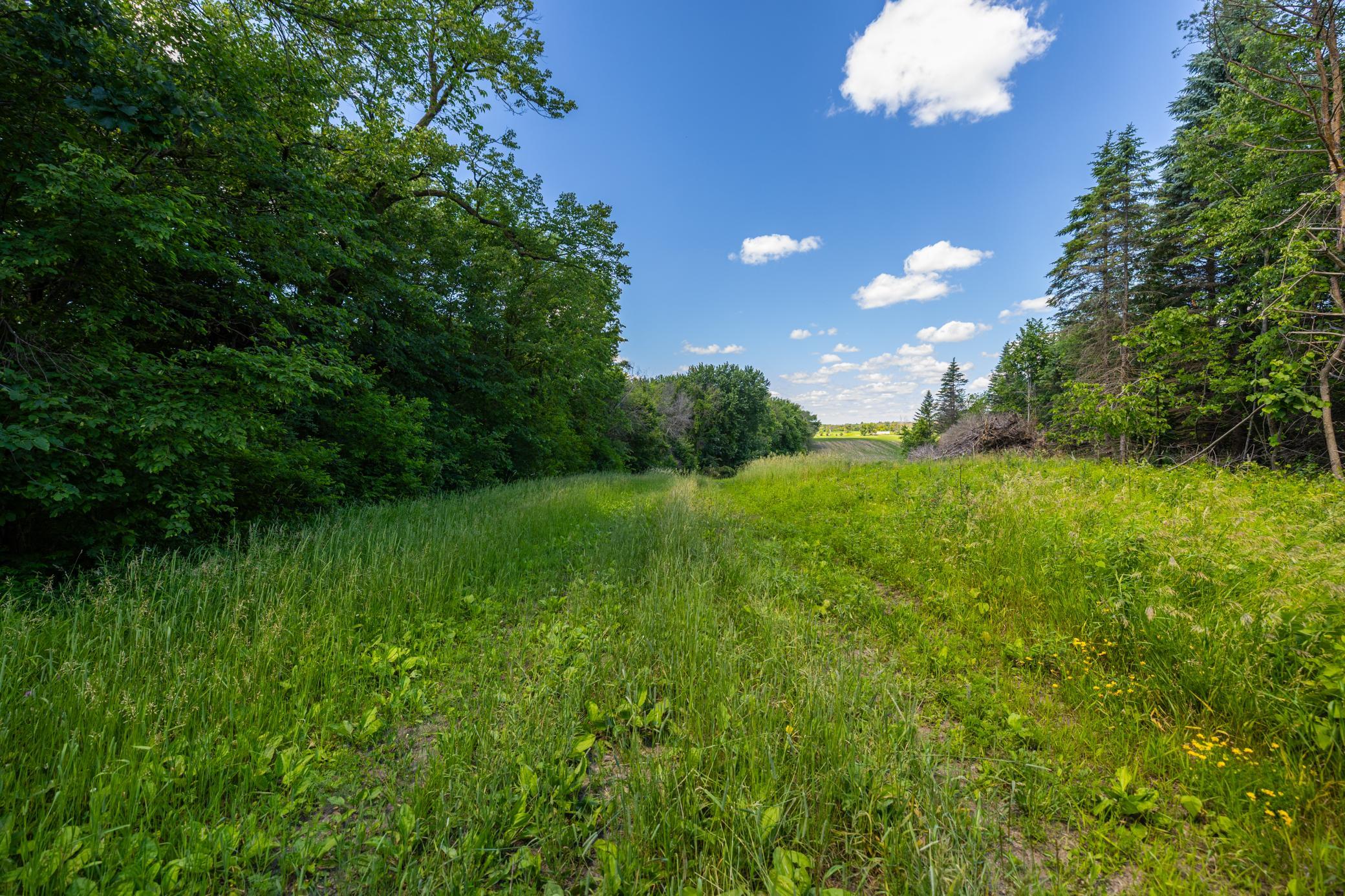 Tbd Base Line Road Property Photo 9