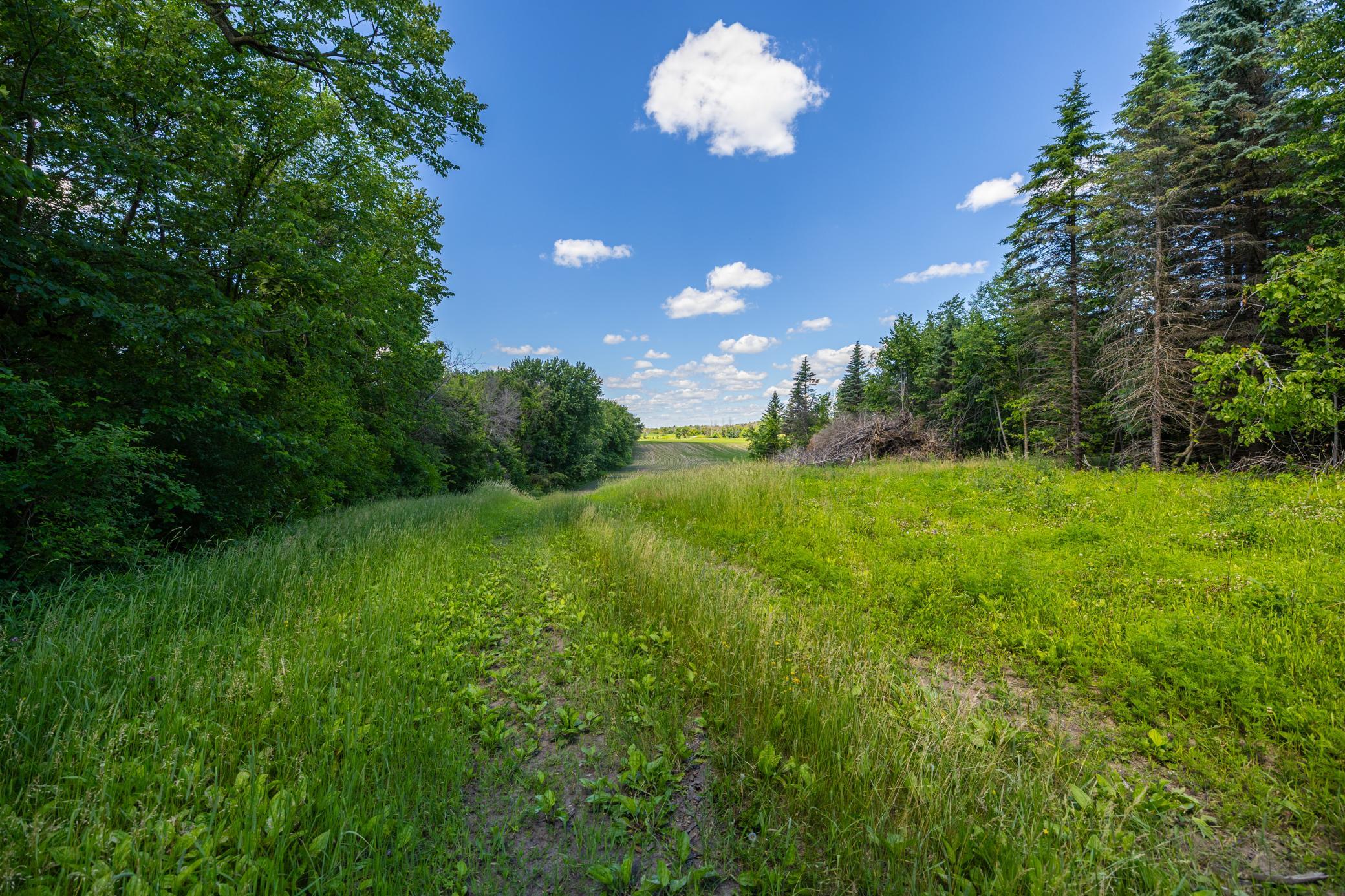 Tbd Base Line Road Property Photo 11