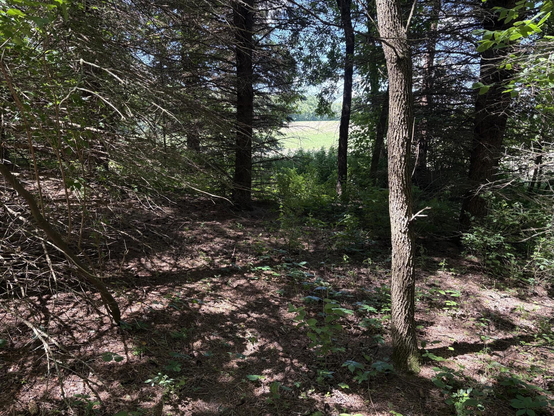 Tbd Base Line Road Property Photo 14