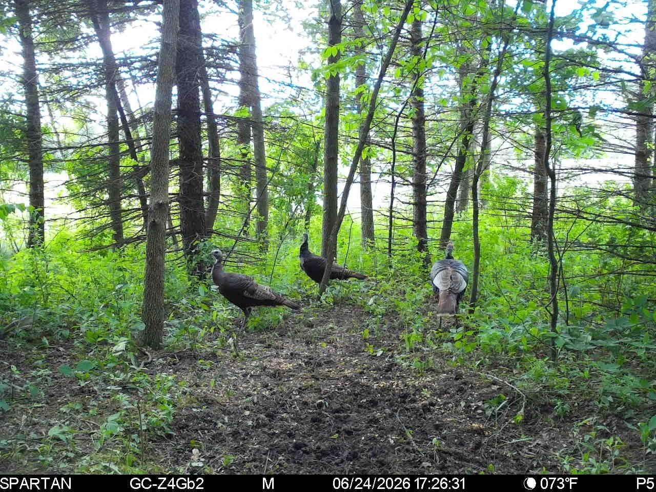 Tbd Base Line Road Property Photo 16