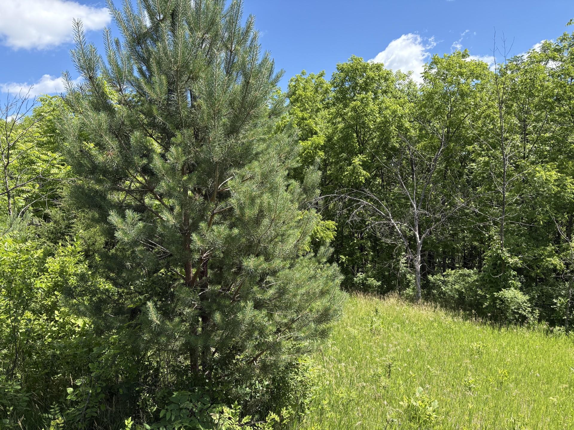Tbd Base Line Road Property Photo 17