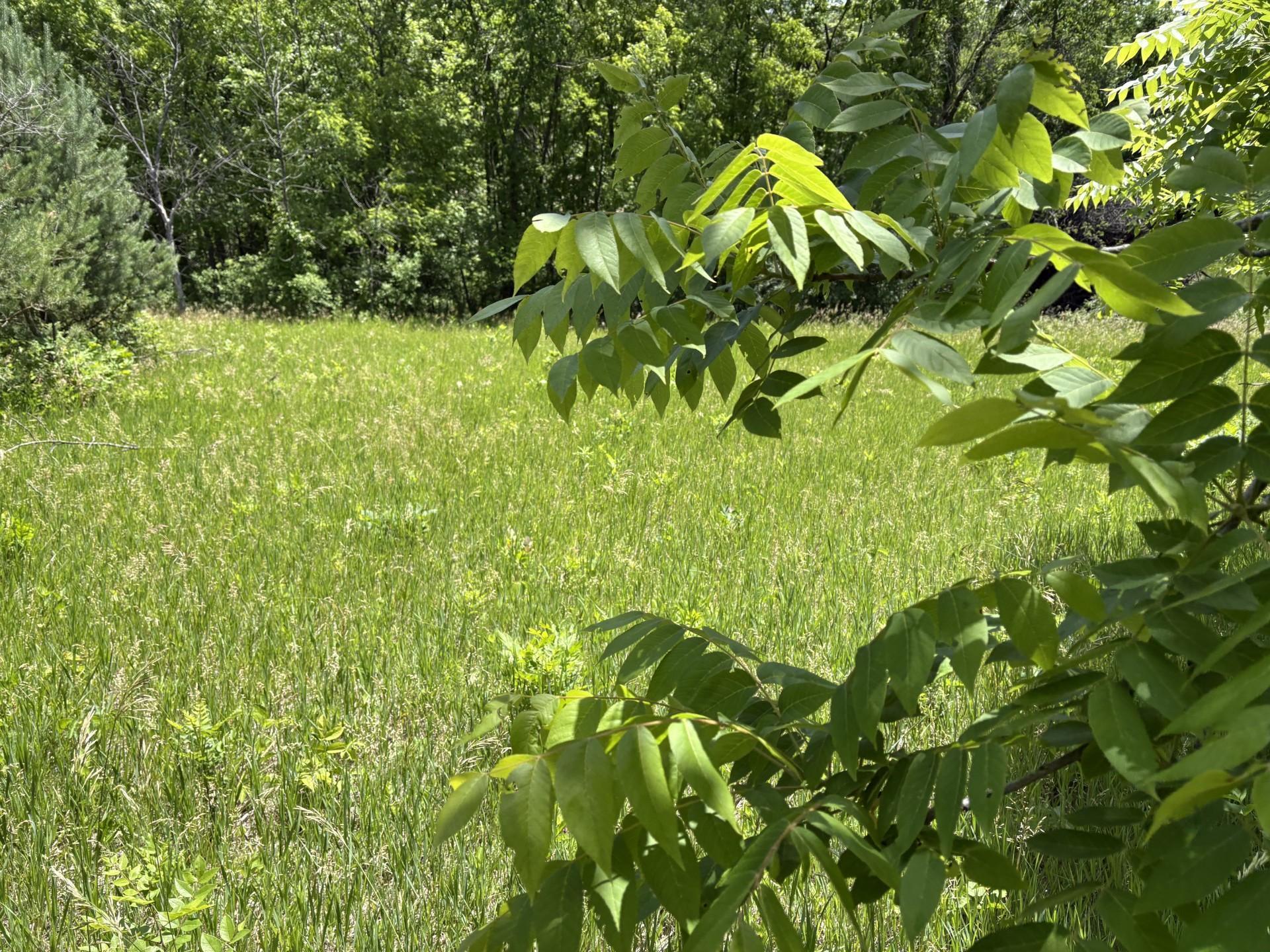 Tbd Base Line Road Property Photo 18