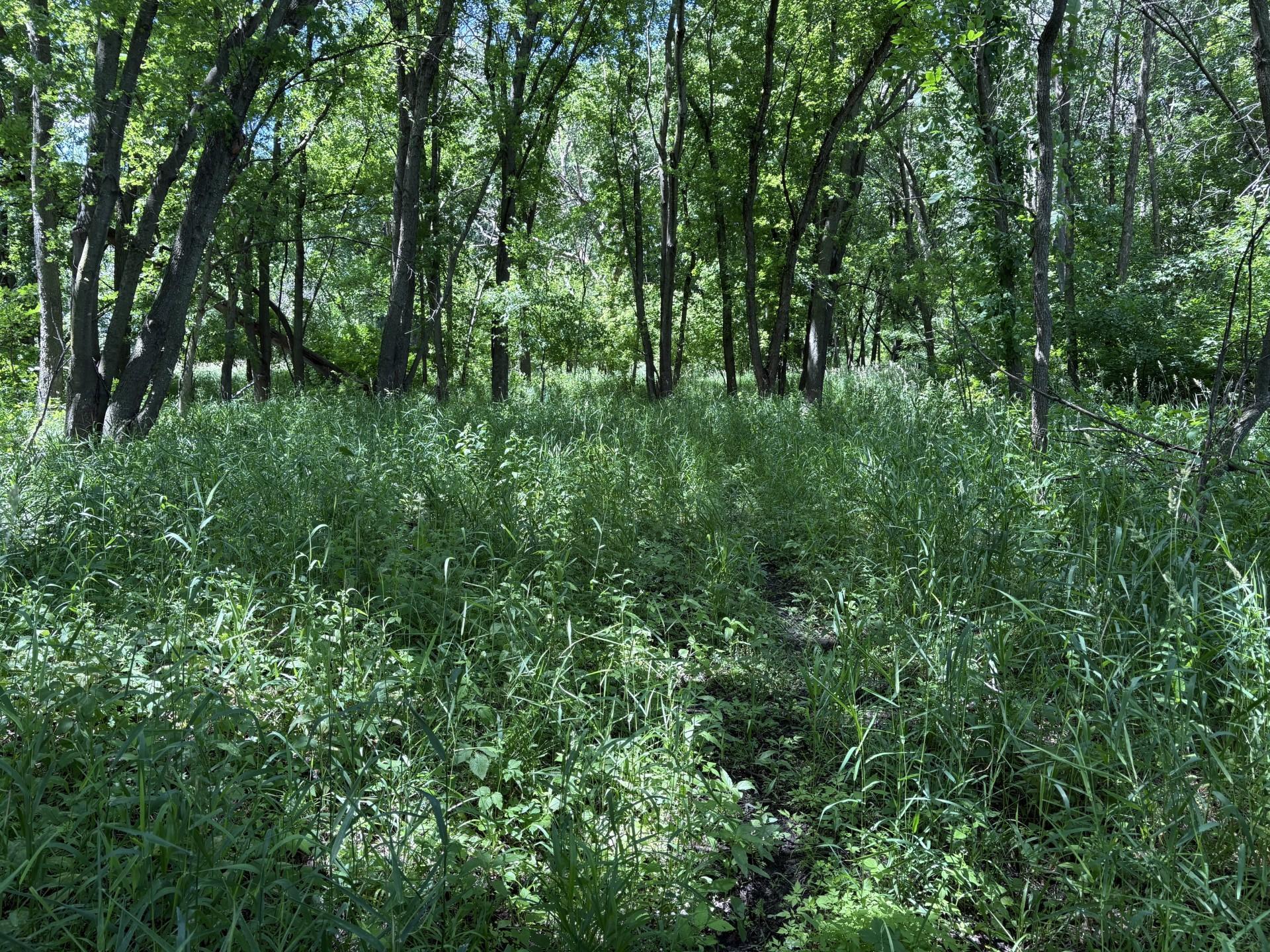 Tbd Base Line Road Property Photo 19