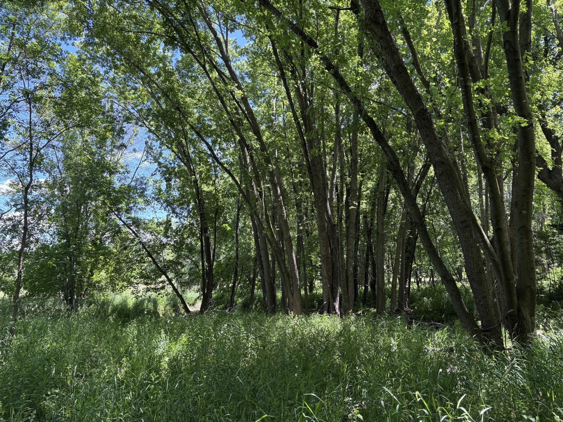 Tbd Base Line Road Property Photo 20
