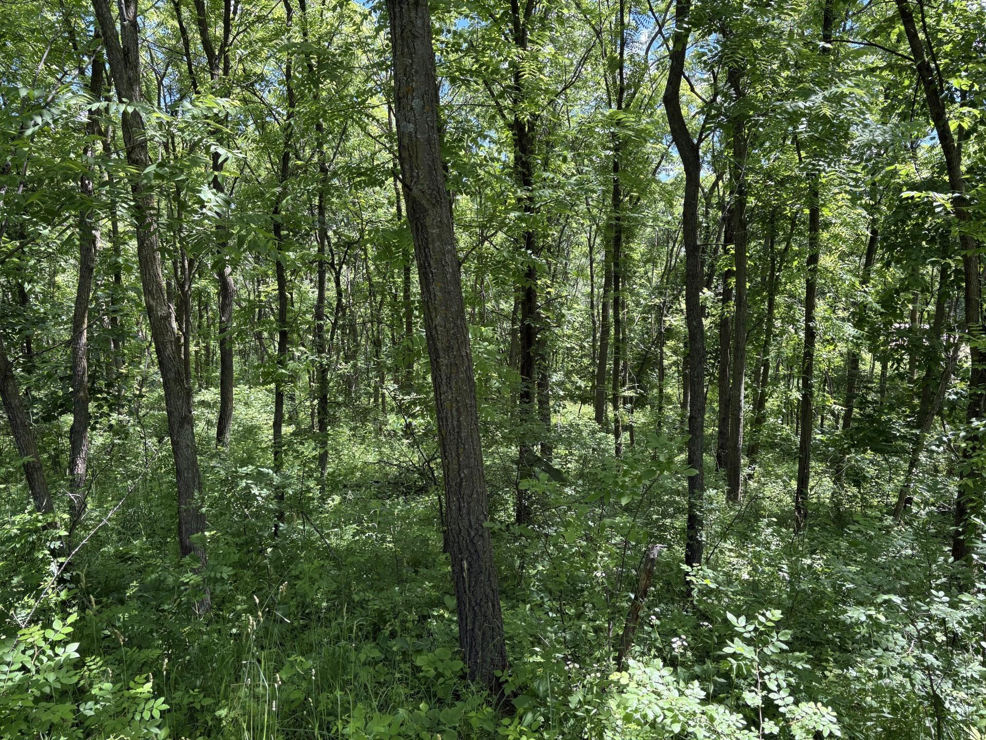 Tbd Base Line Road Property Photo 21