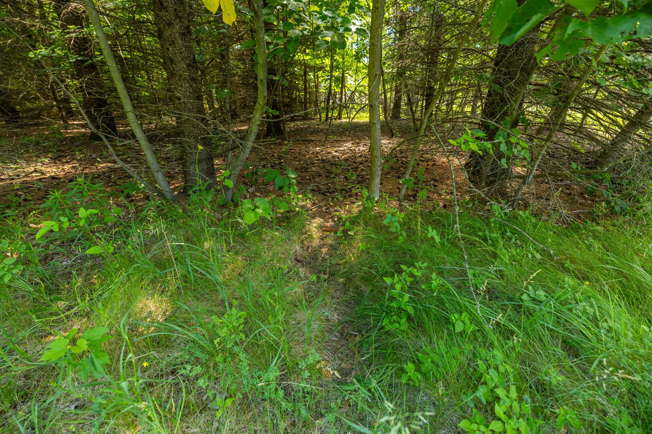 Tbd Base Line Road Property Photo 23