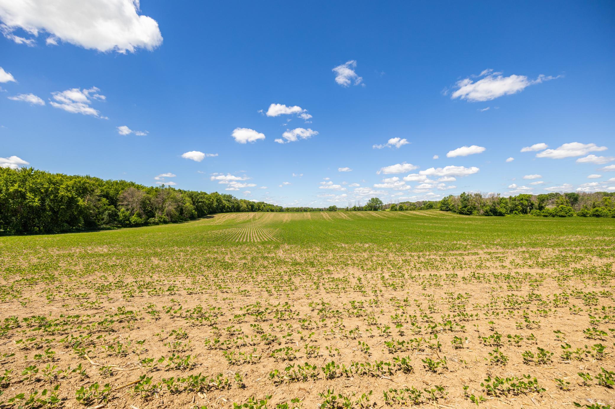 Tbd Base Line Road Property Photo 34