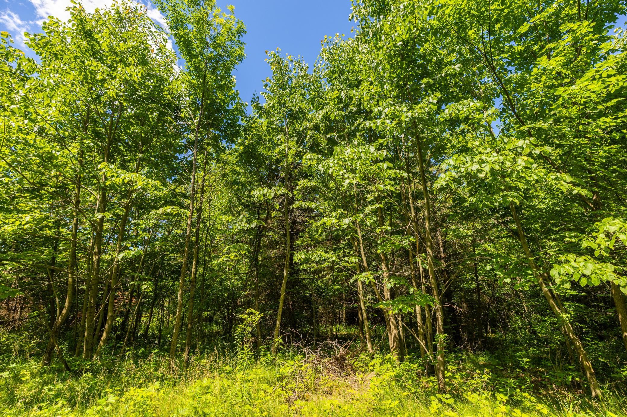 Tbd Base Line Road Property Photo 37