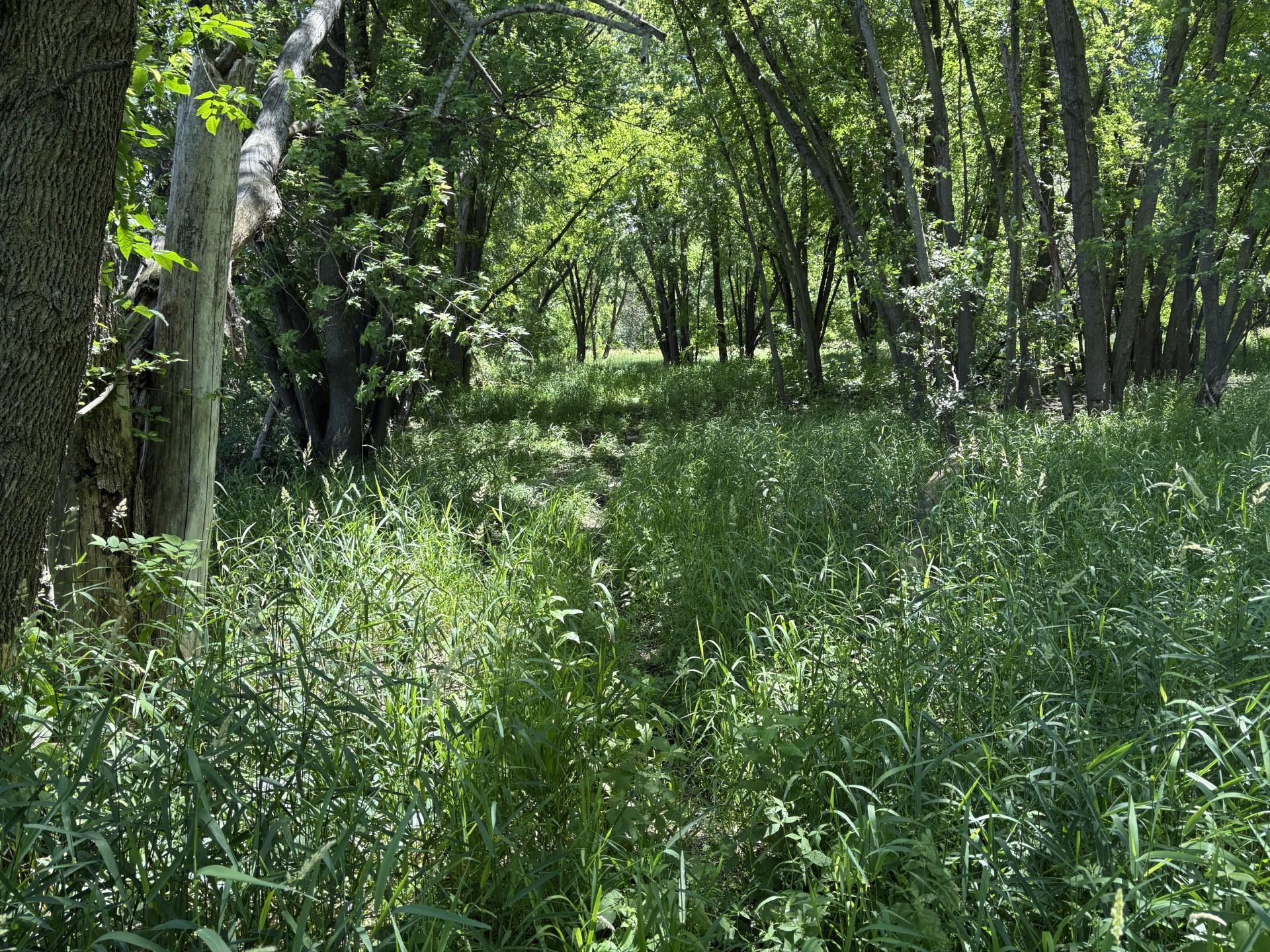 Tbd Base Line Road Property Photo 39