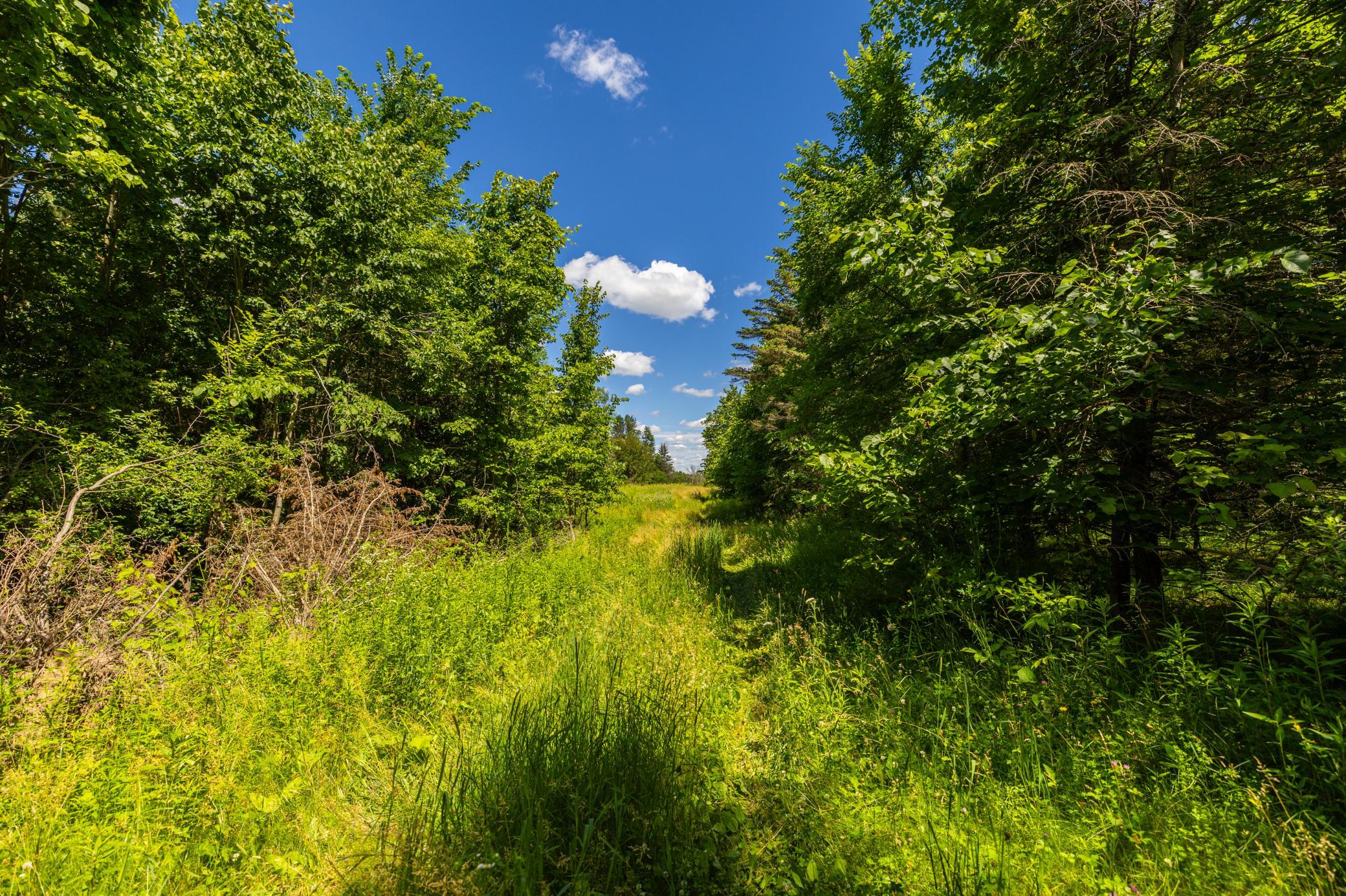 Tbd Base Line Road Property Photo 40