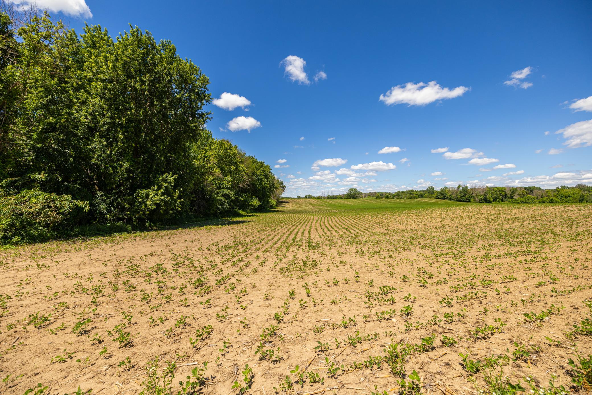 Tbd Base Line Road Property Photo 45