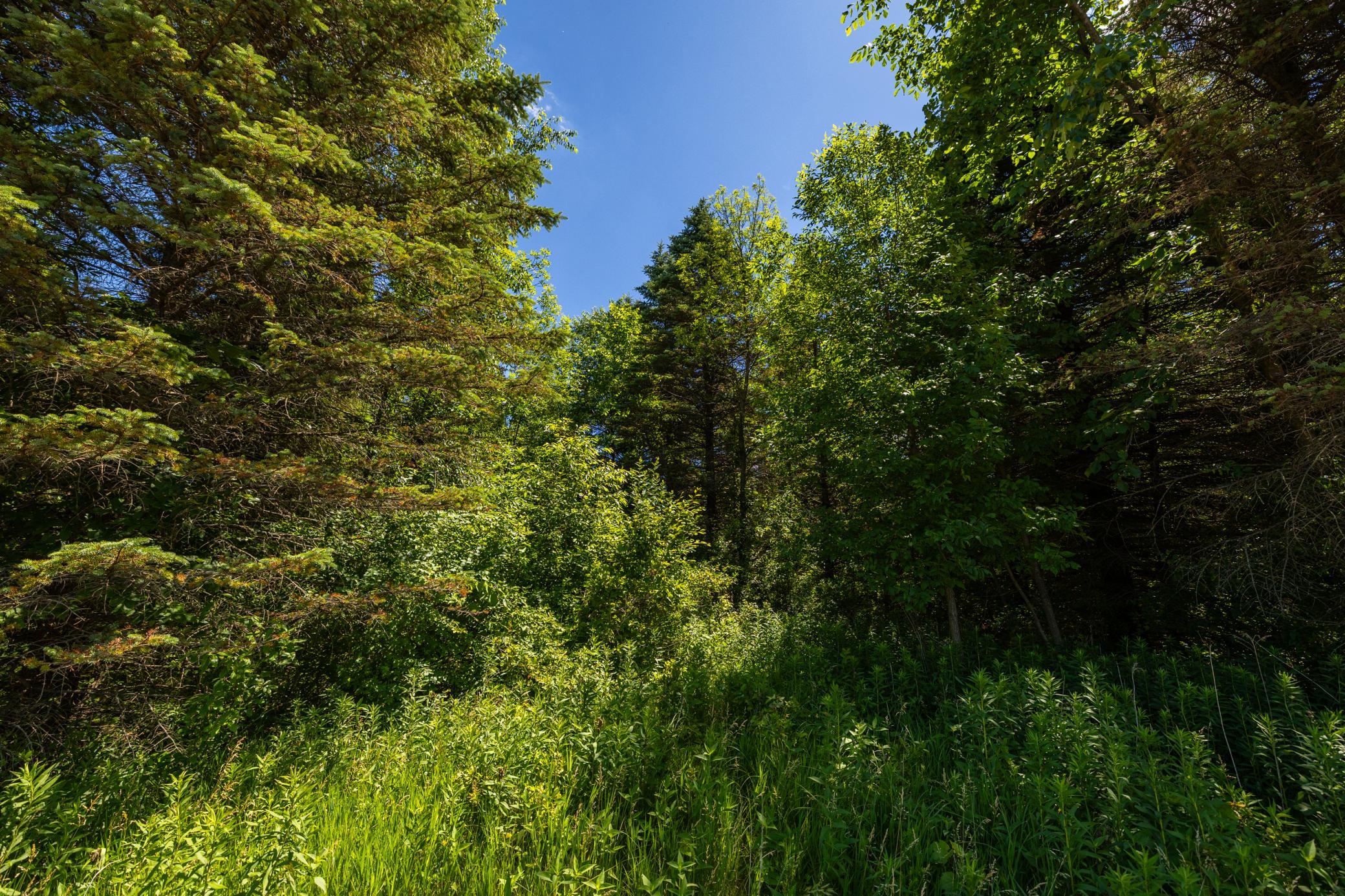 Tbd Base Line Road Property Photo 46