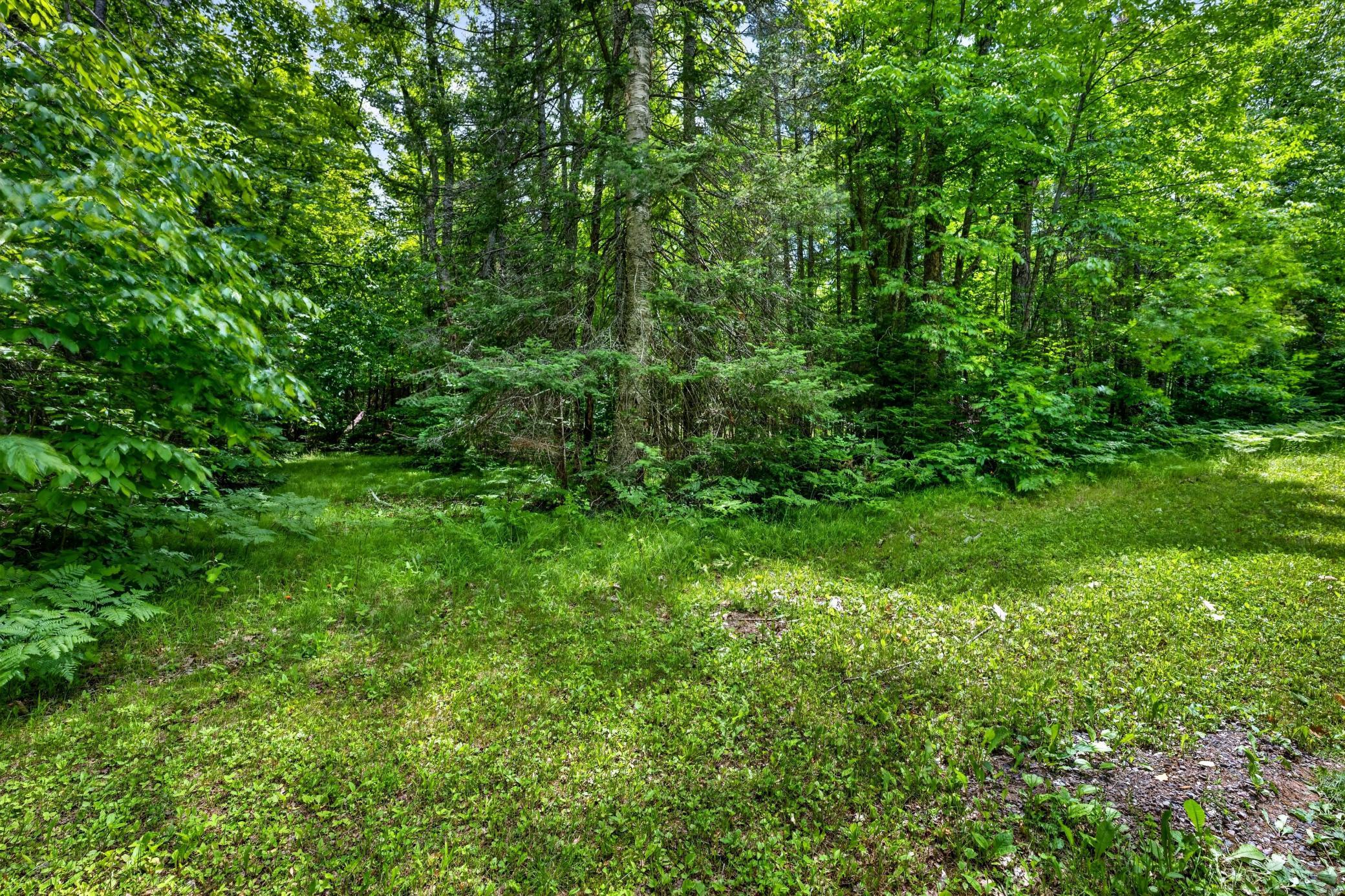 12765 Brady Road Property Photo 28