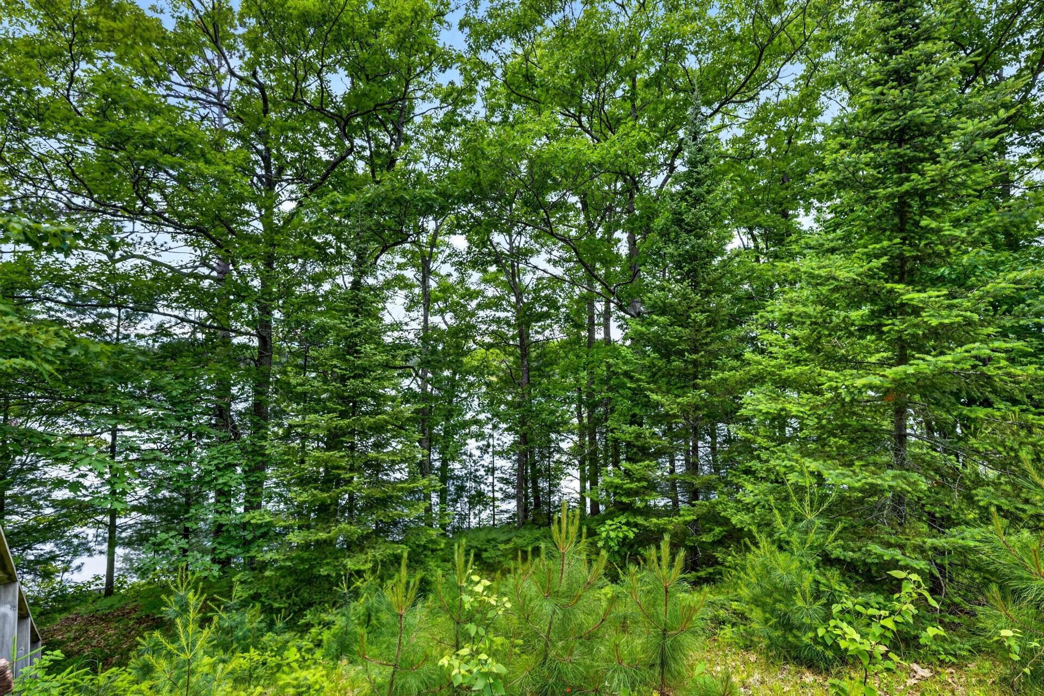 12765 Brady Road Property Photo 33