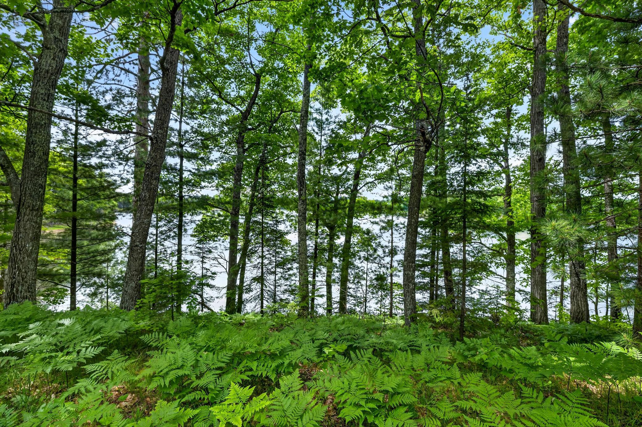 12765 Brady Road Property Photo 35