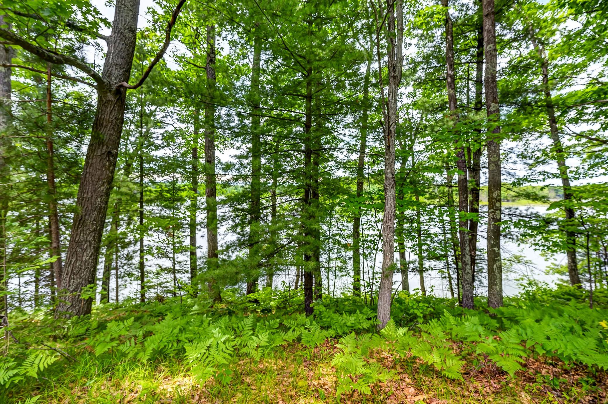 12765 Brady Road Property Photo 37
