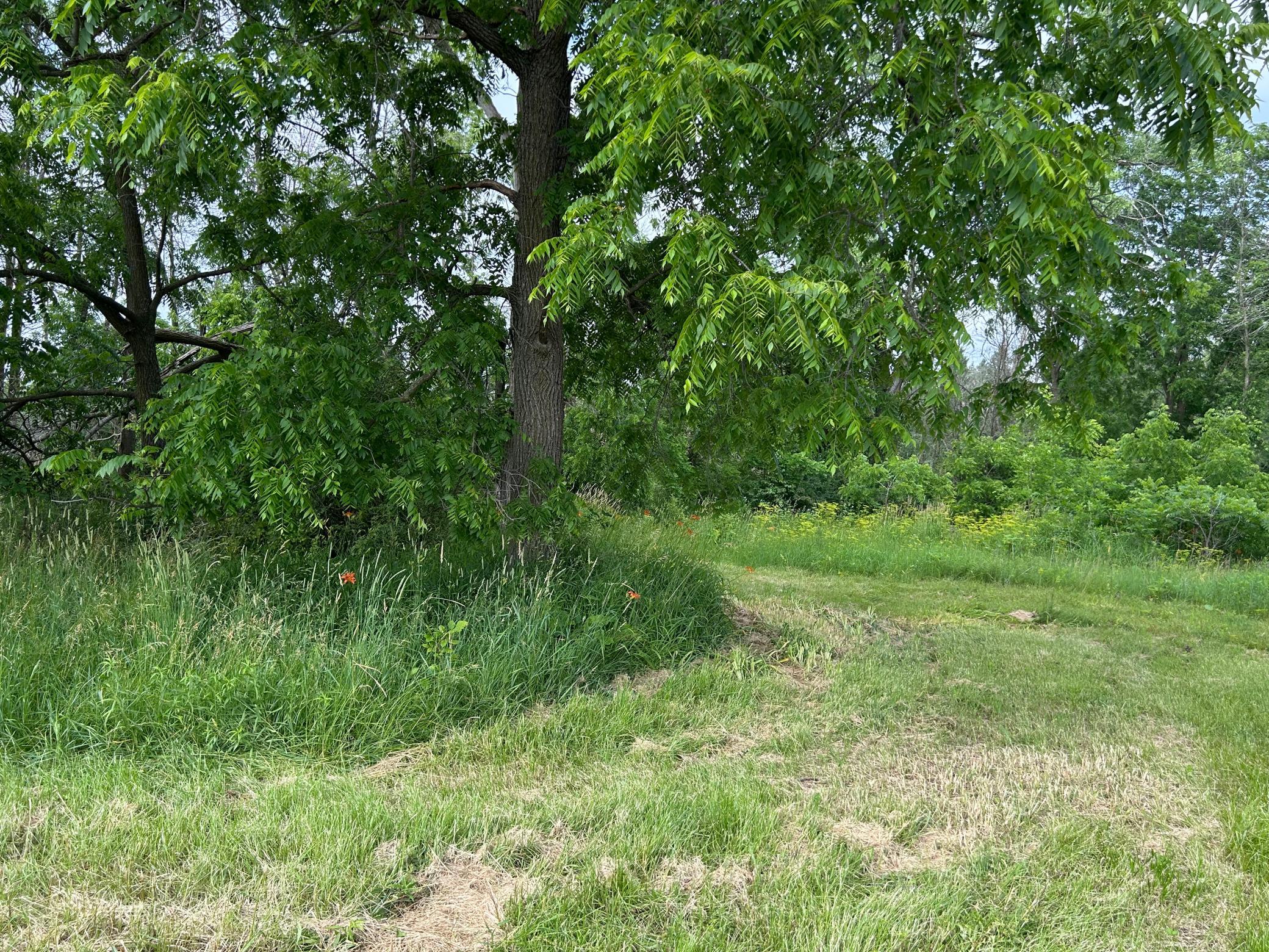 Tbd Us Hwy 12 Property Photo 3