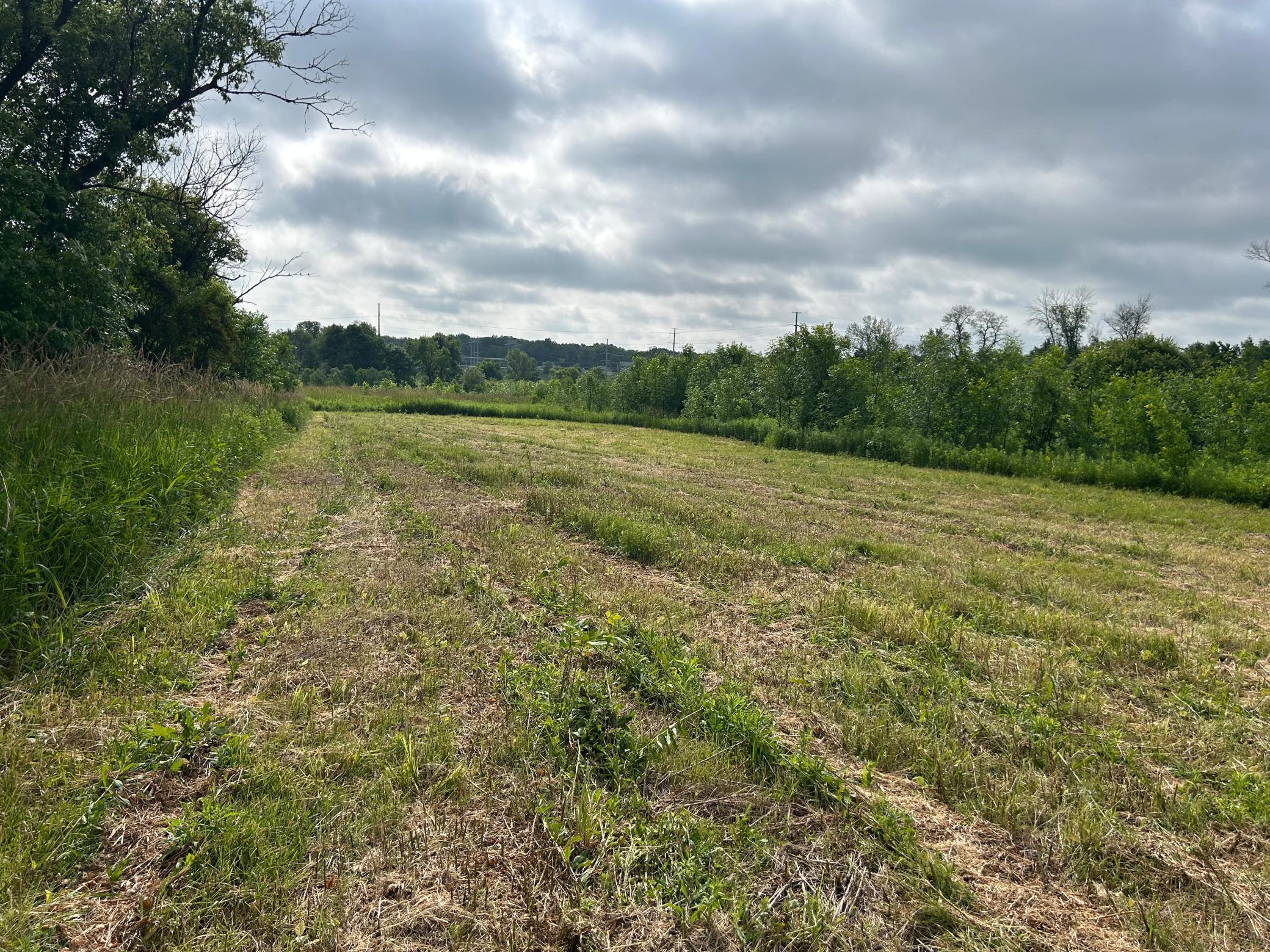 Tbd Us Hwy 12 Property Photo 4
