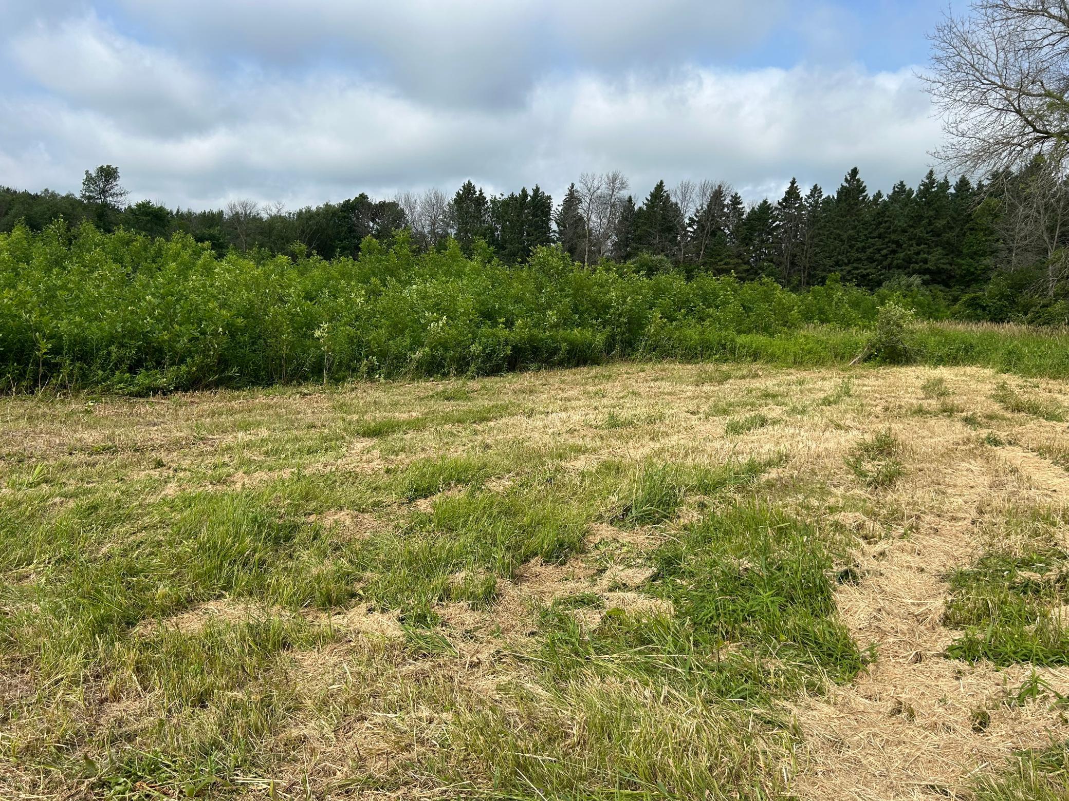 Tbd Us Hwy 12 Property Photo 5