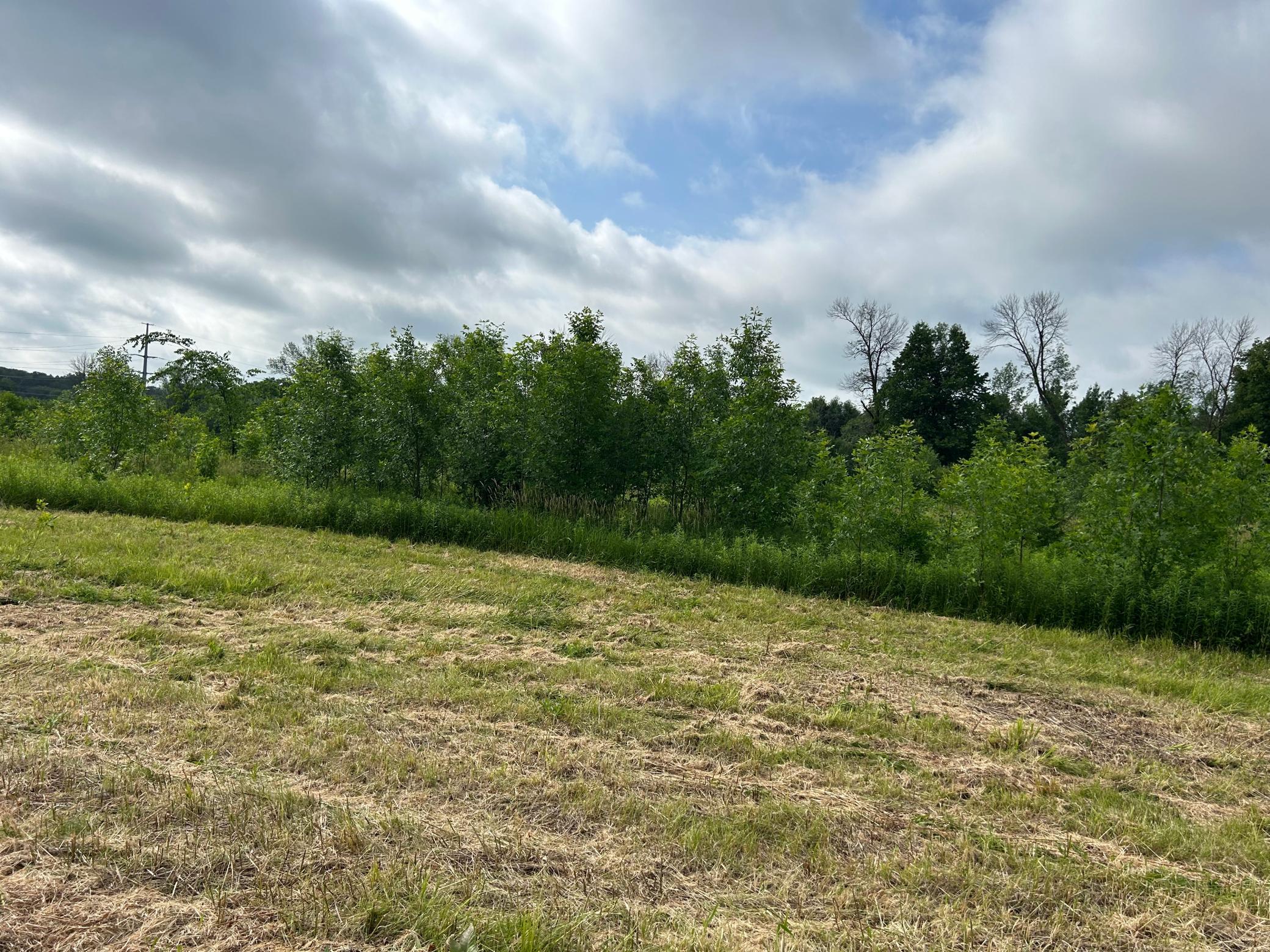 Tbd Us Hwy 12 Property Photo 6