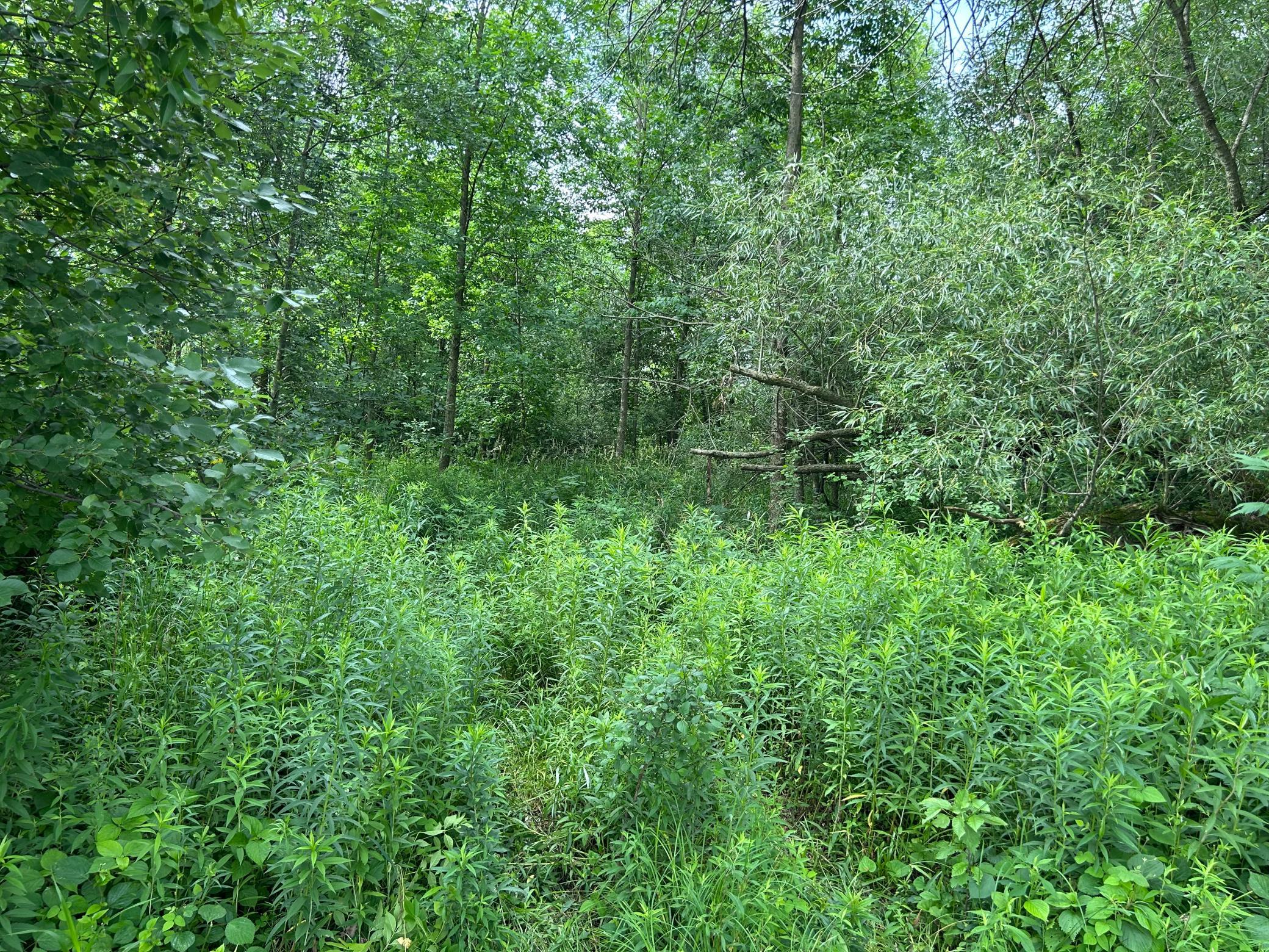 Tbd Us Hwy 12 Property Photo 7