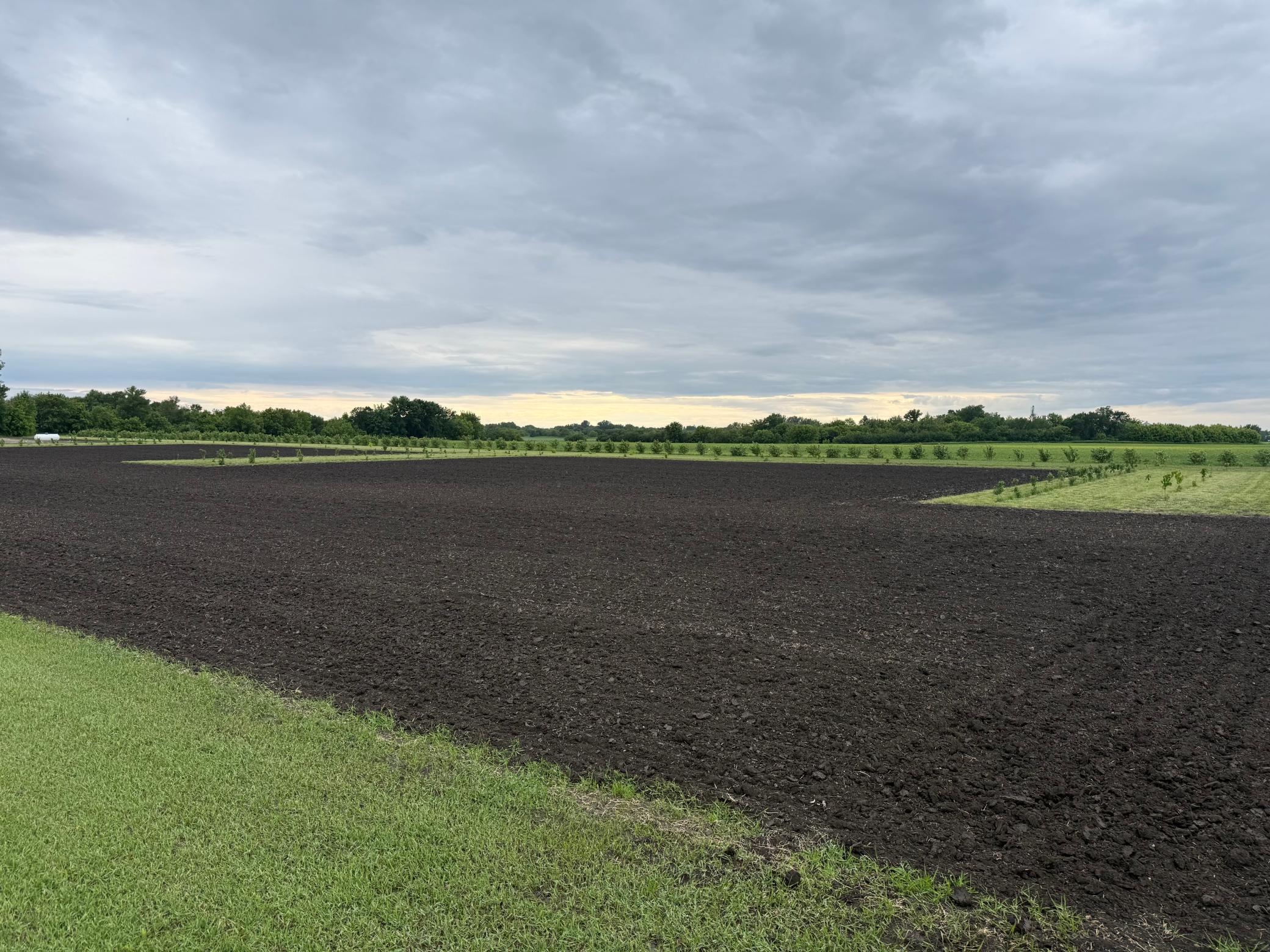 TBD County Road 15