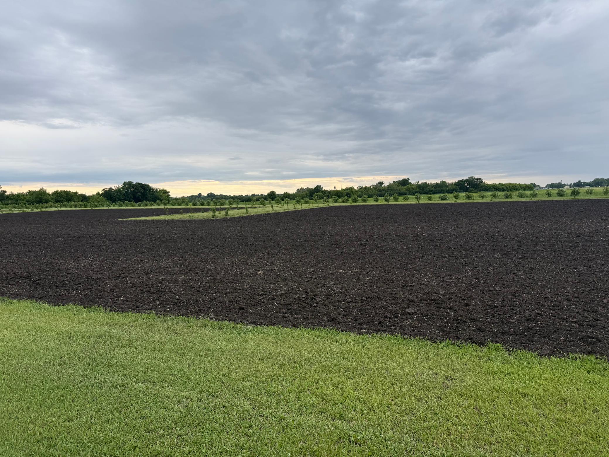 Tbd County Road 15 Property Photo 2