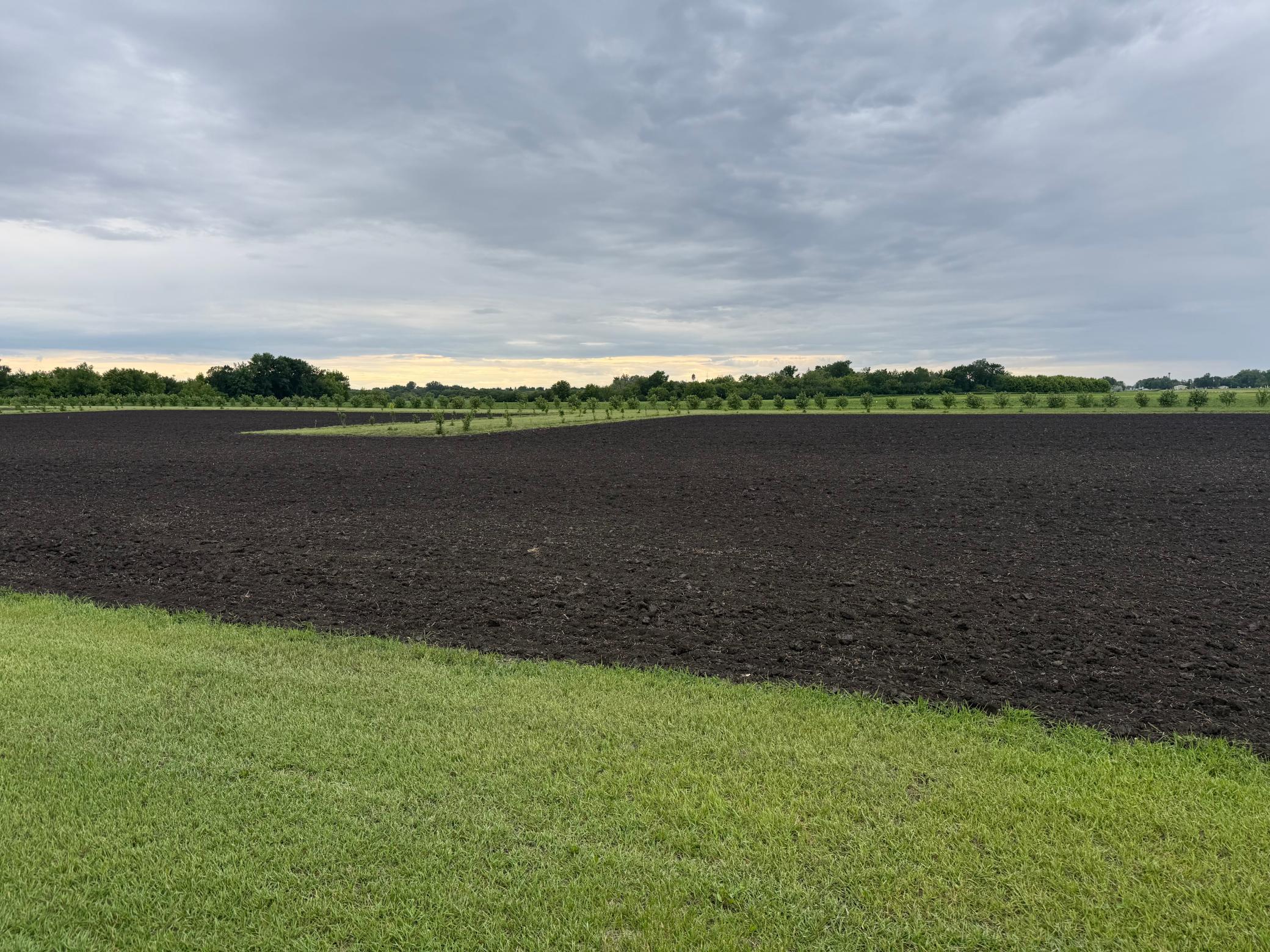 Tbd County Road 15 Property Photo 3
