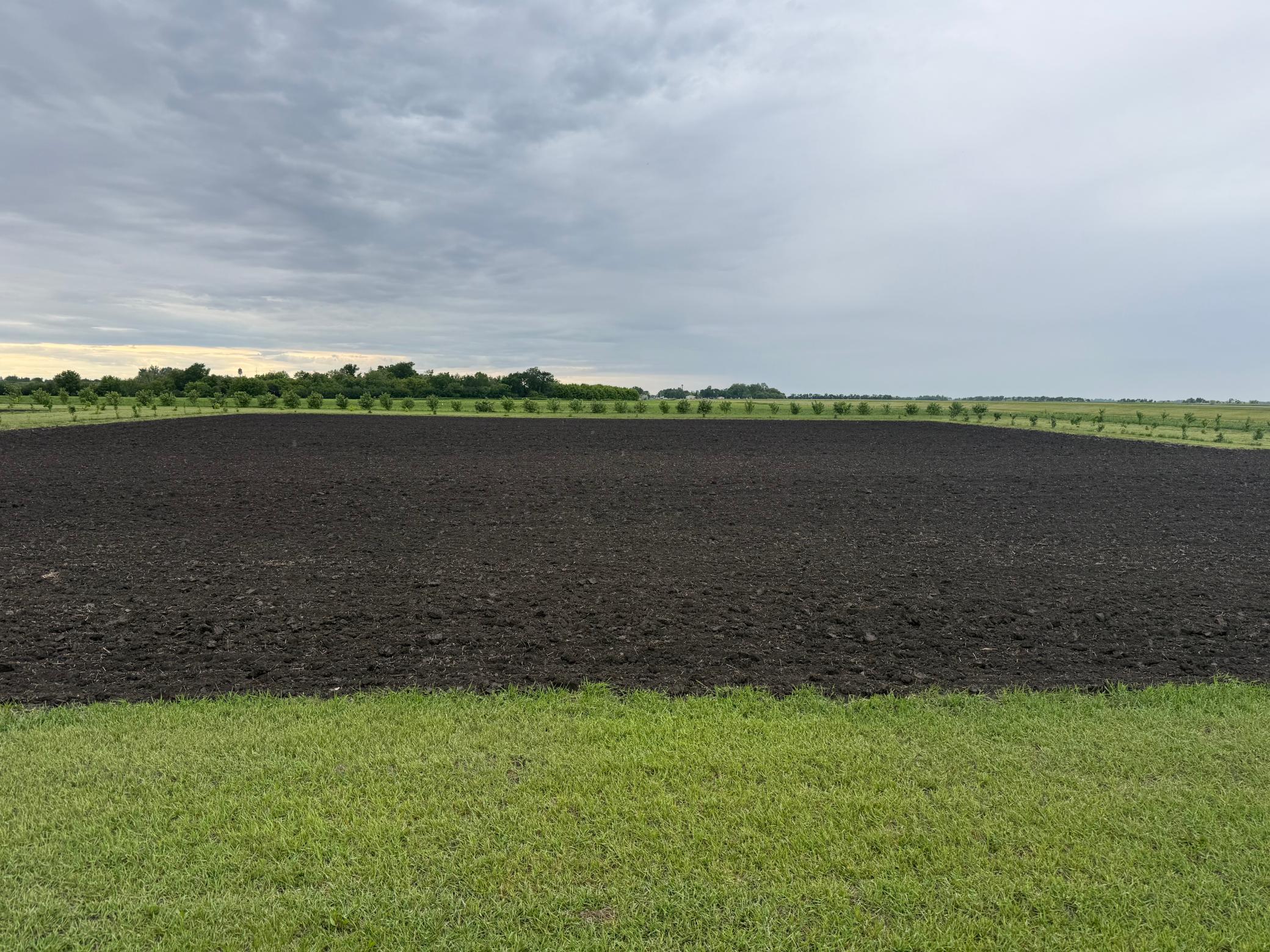 Tbd County Road 15 Property Photo 4