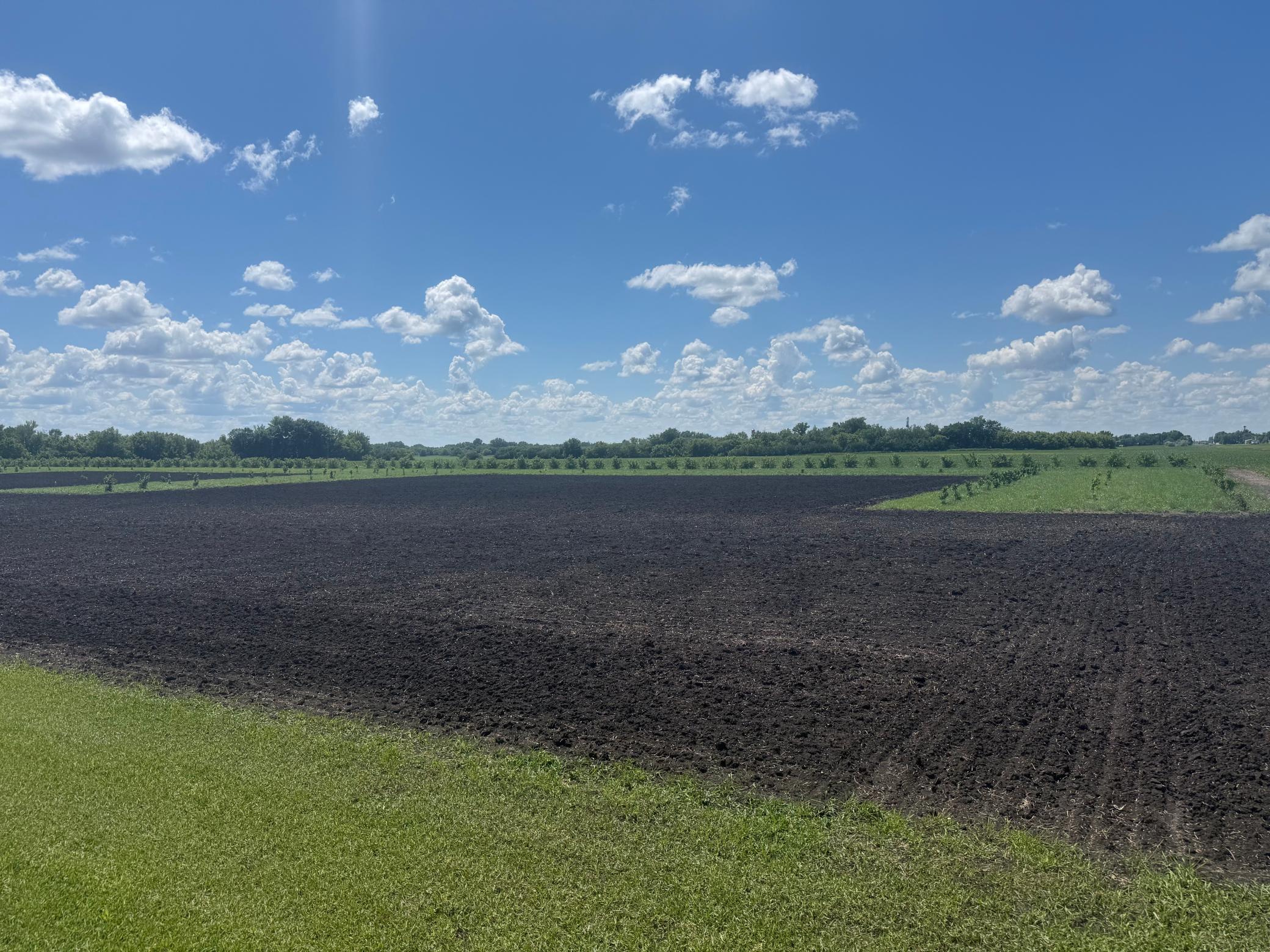 Tbd County Road 15 Property Photo 5