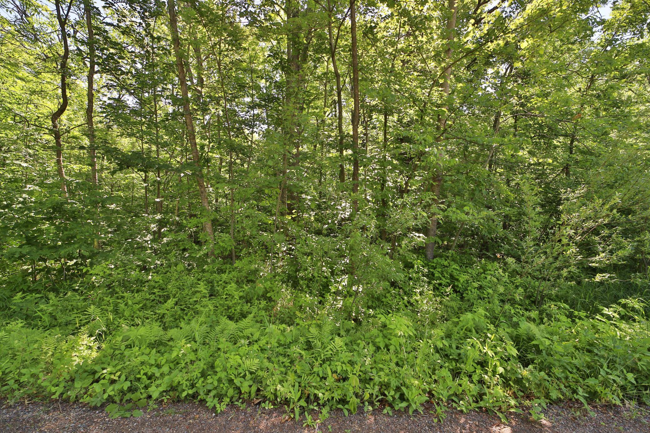 Tbd Meander Way Property Photo 2