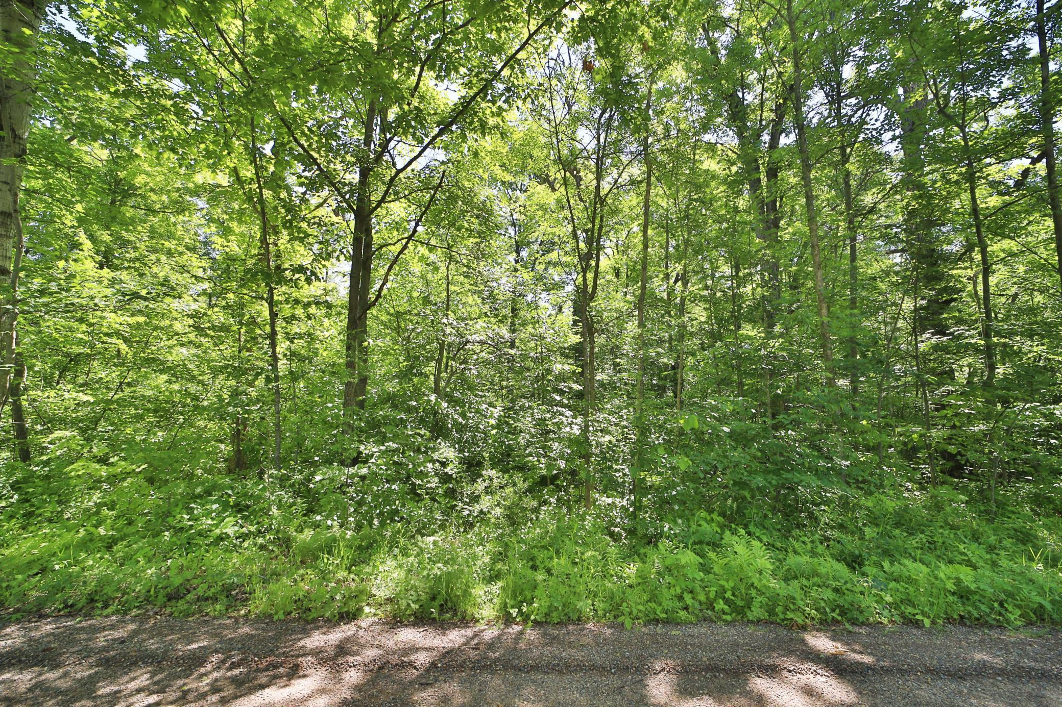 Tbd Meander Way Property Photo 4