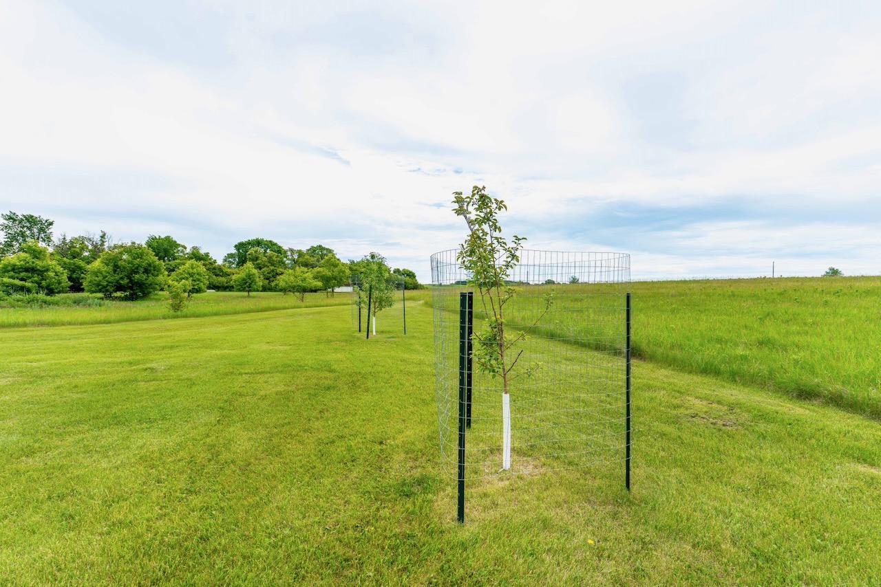 42955 165th Street Property Photo 32