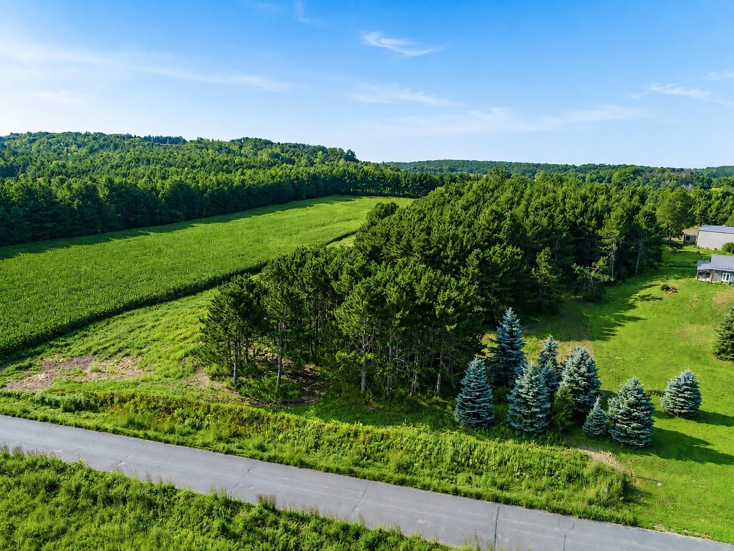 Lot 18 115th Avenue Property Photo 3