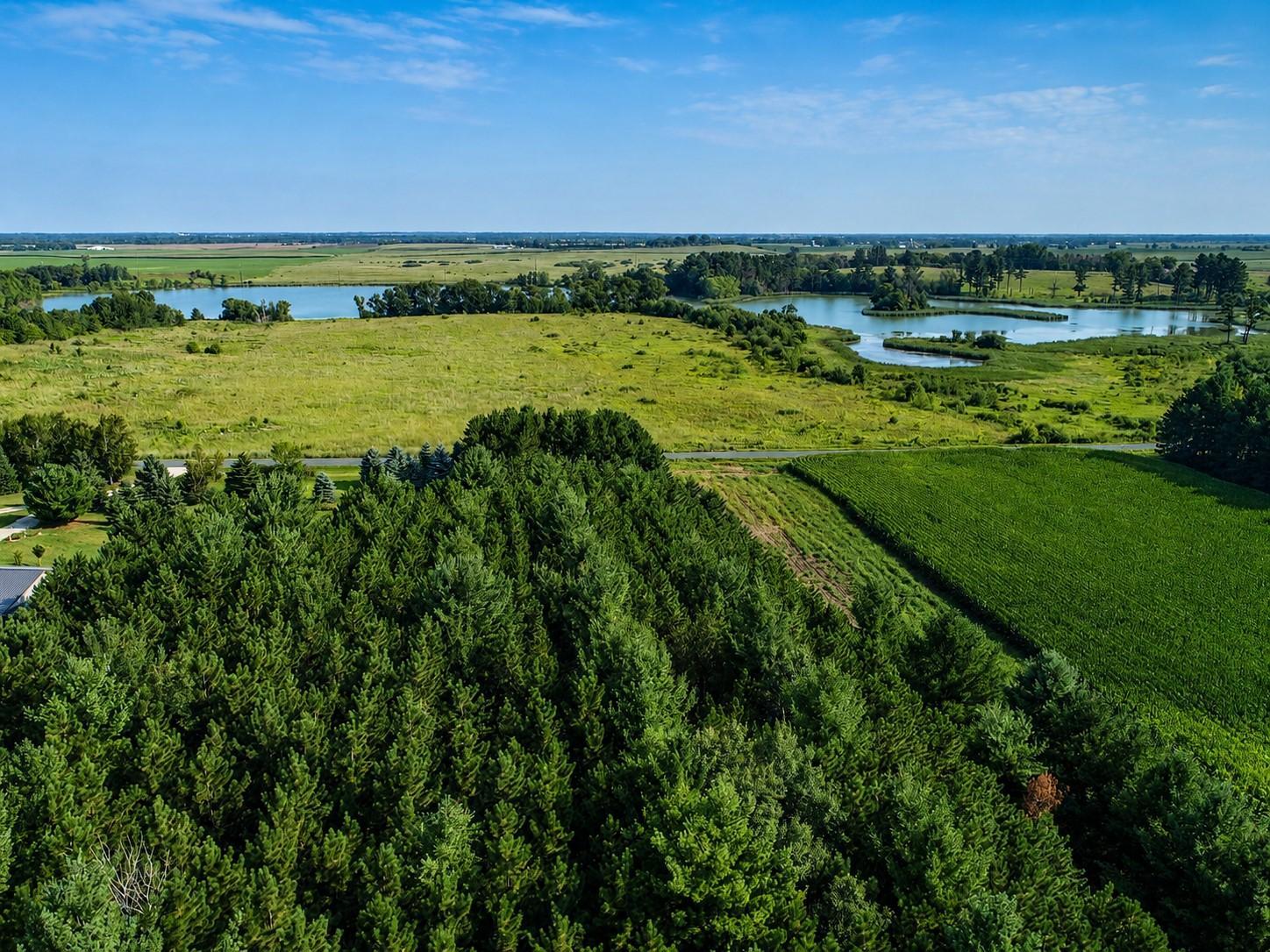 Lot 18 115th Avenue Property Photo 4