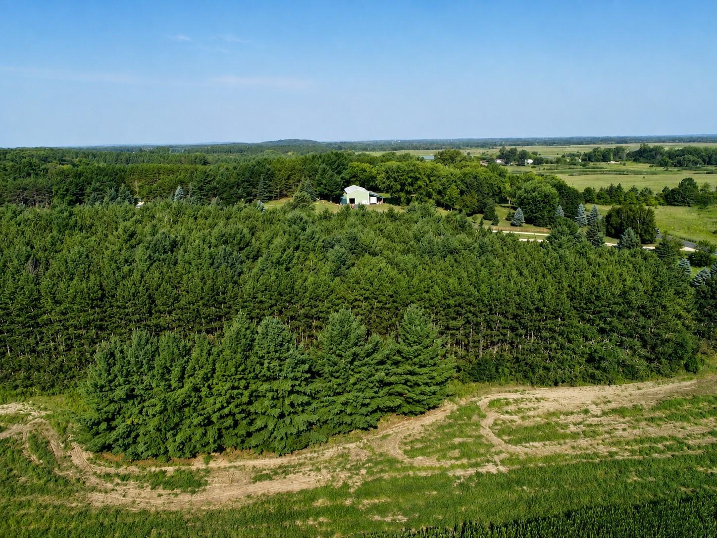 Lot 18 115th Avenue Property Photo 5